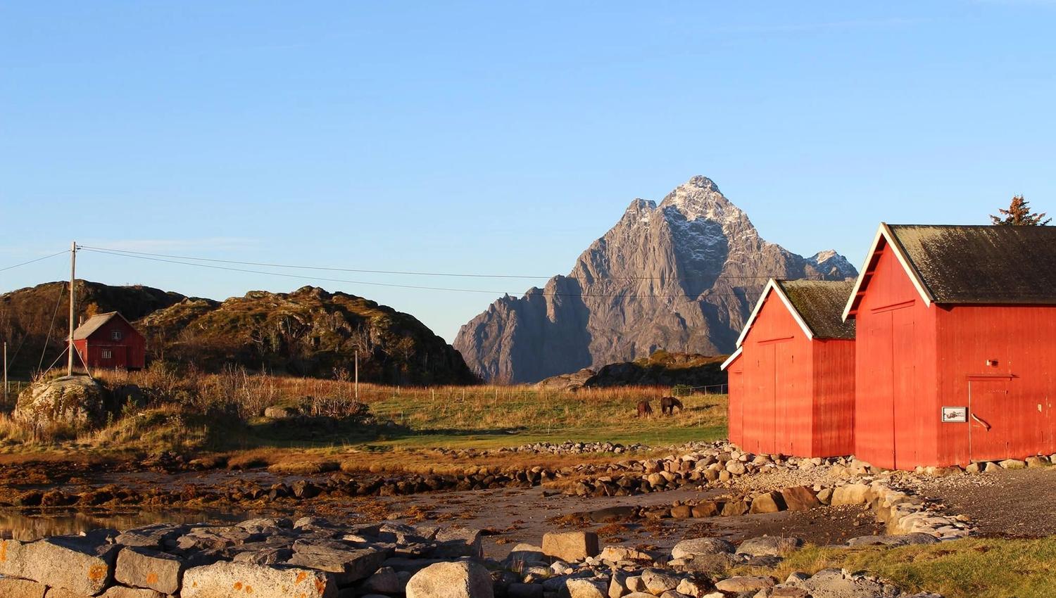 Boat houses at the Lofoten Museum