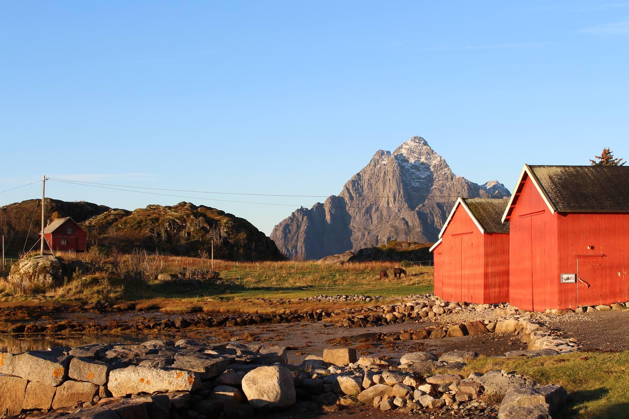 Boat houses at the Lofoten Museum