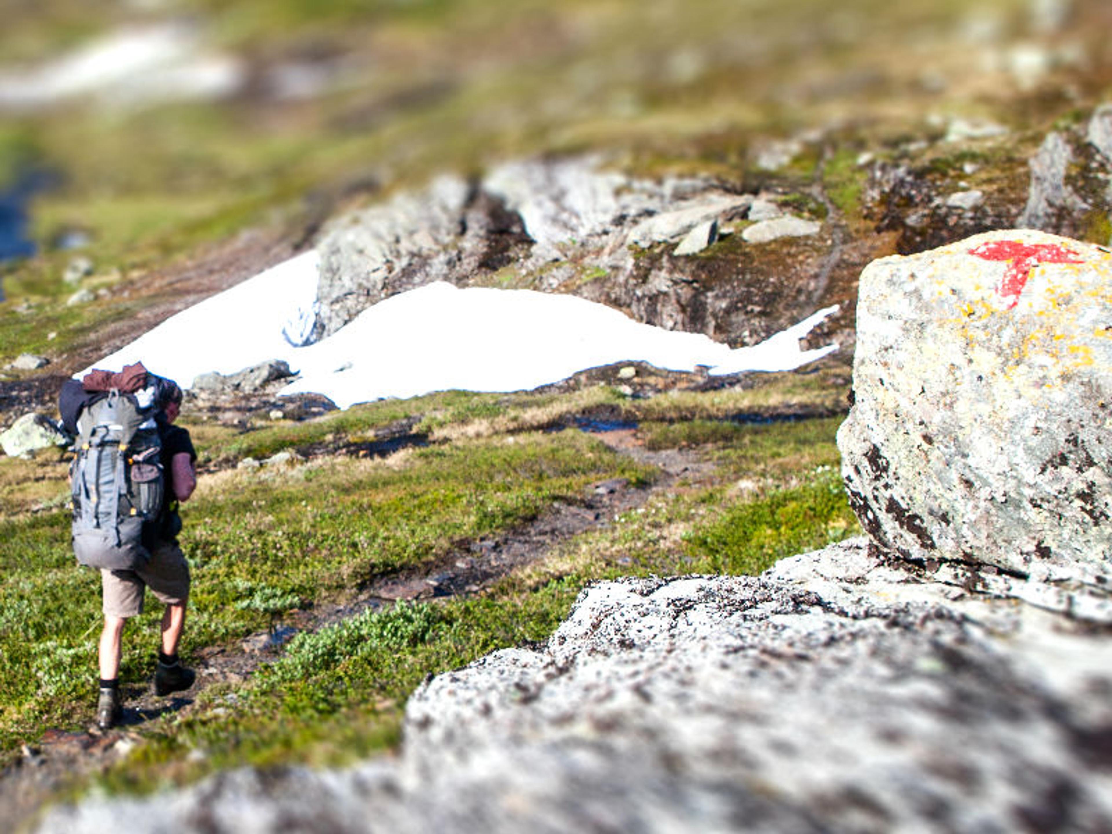 Hardangervidda sommer