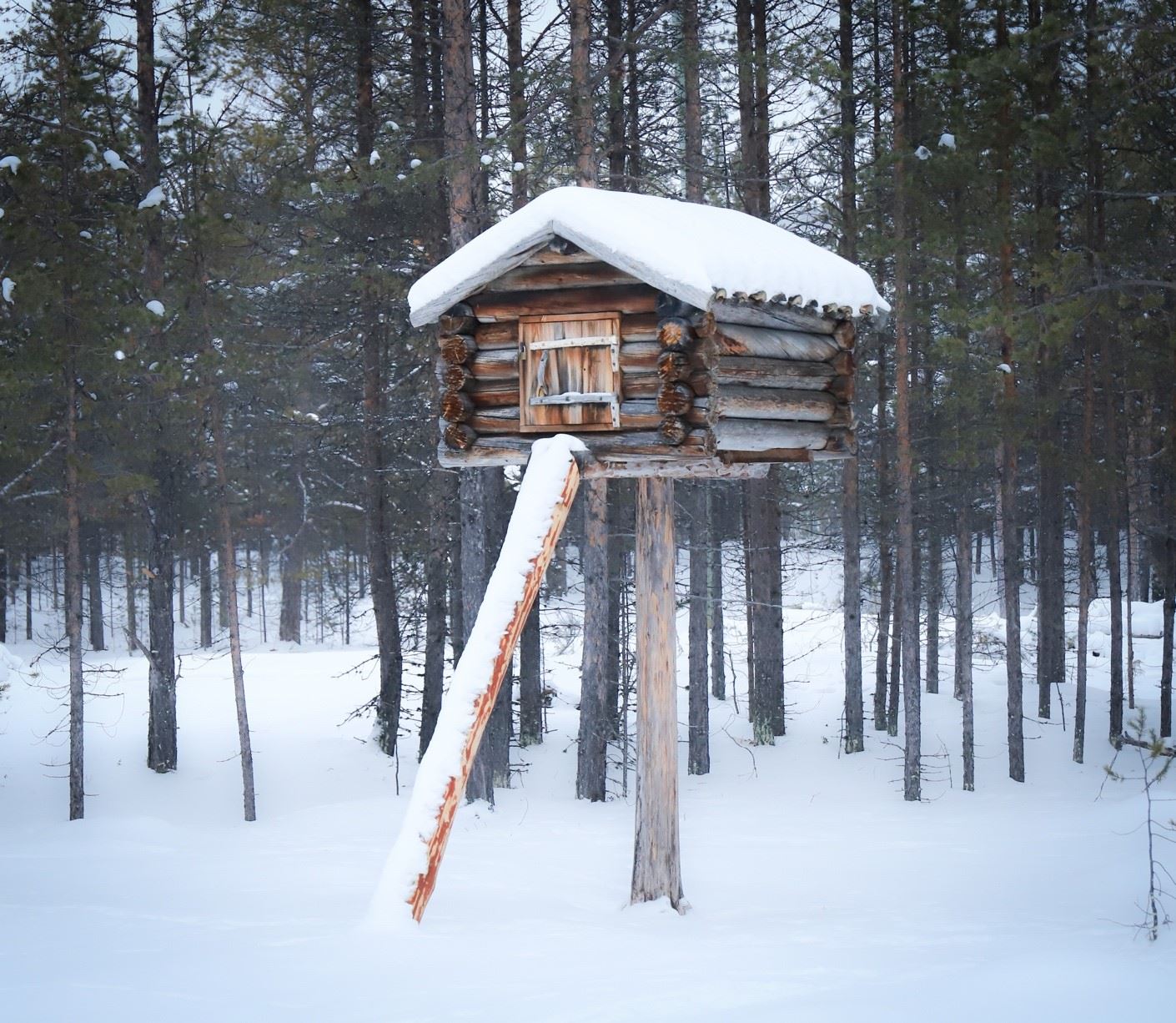 Njalla (enstolpebod) i vinterdrakt.