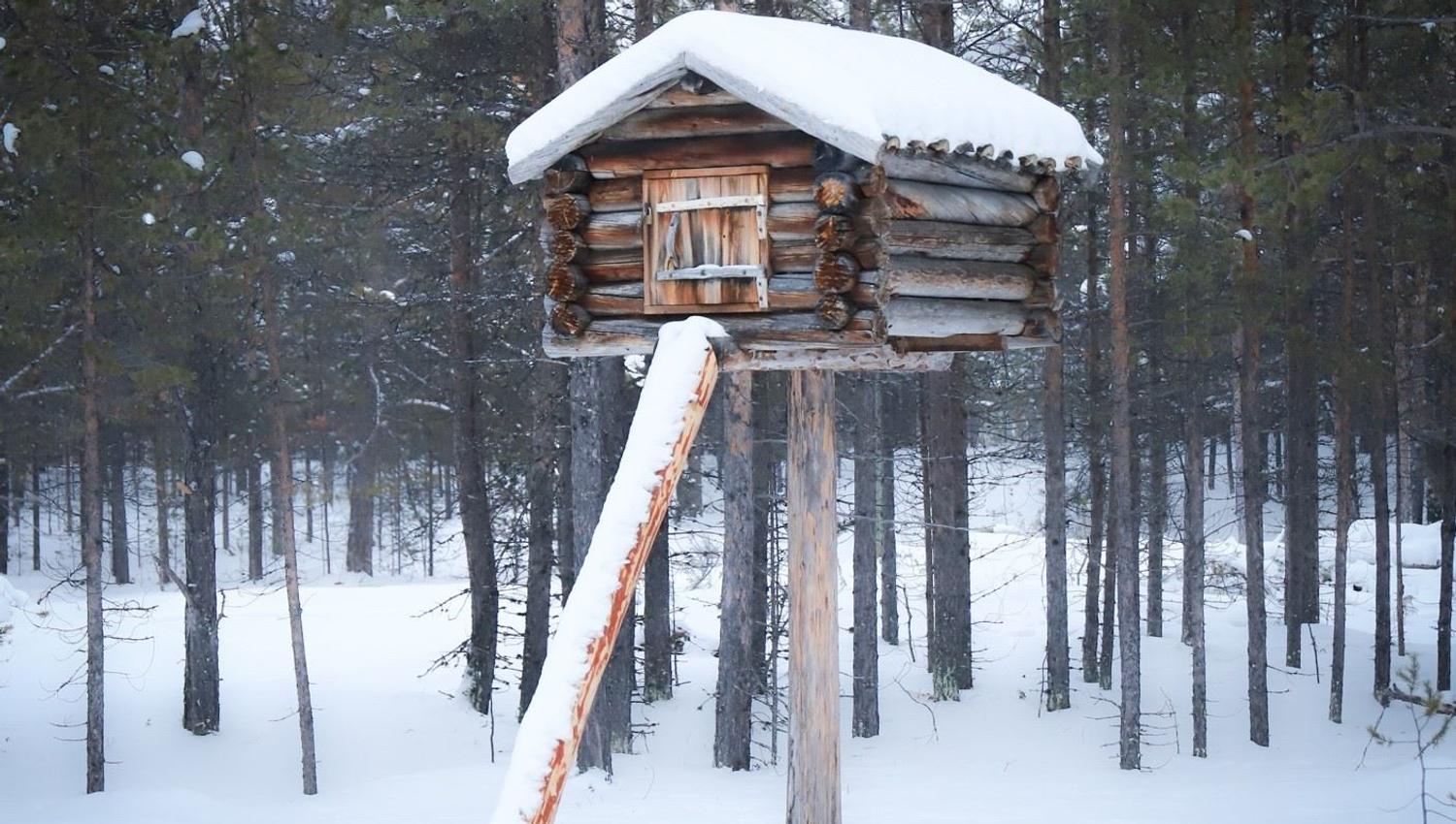 Njalla (enstolpebod) i vinterdrakt.