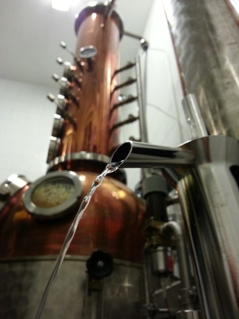 Destillery of fruit spirit