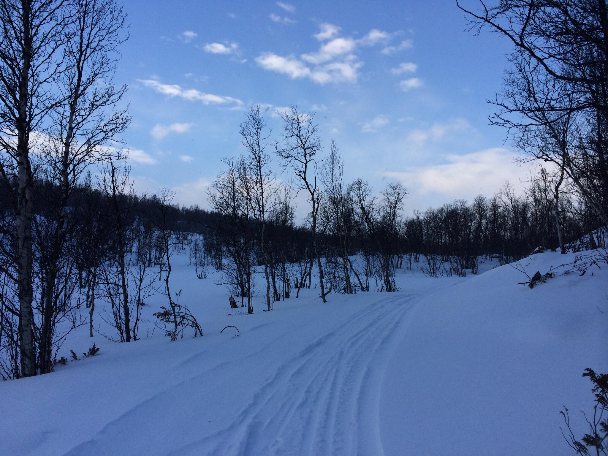 Cross-country trails in Røros