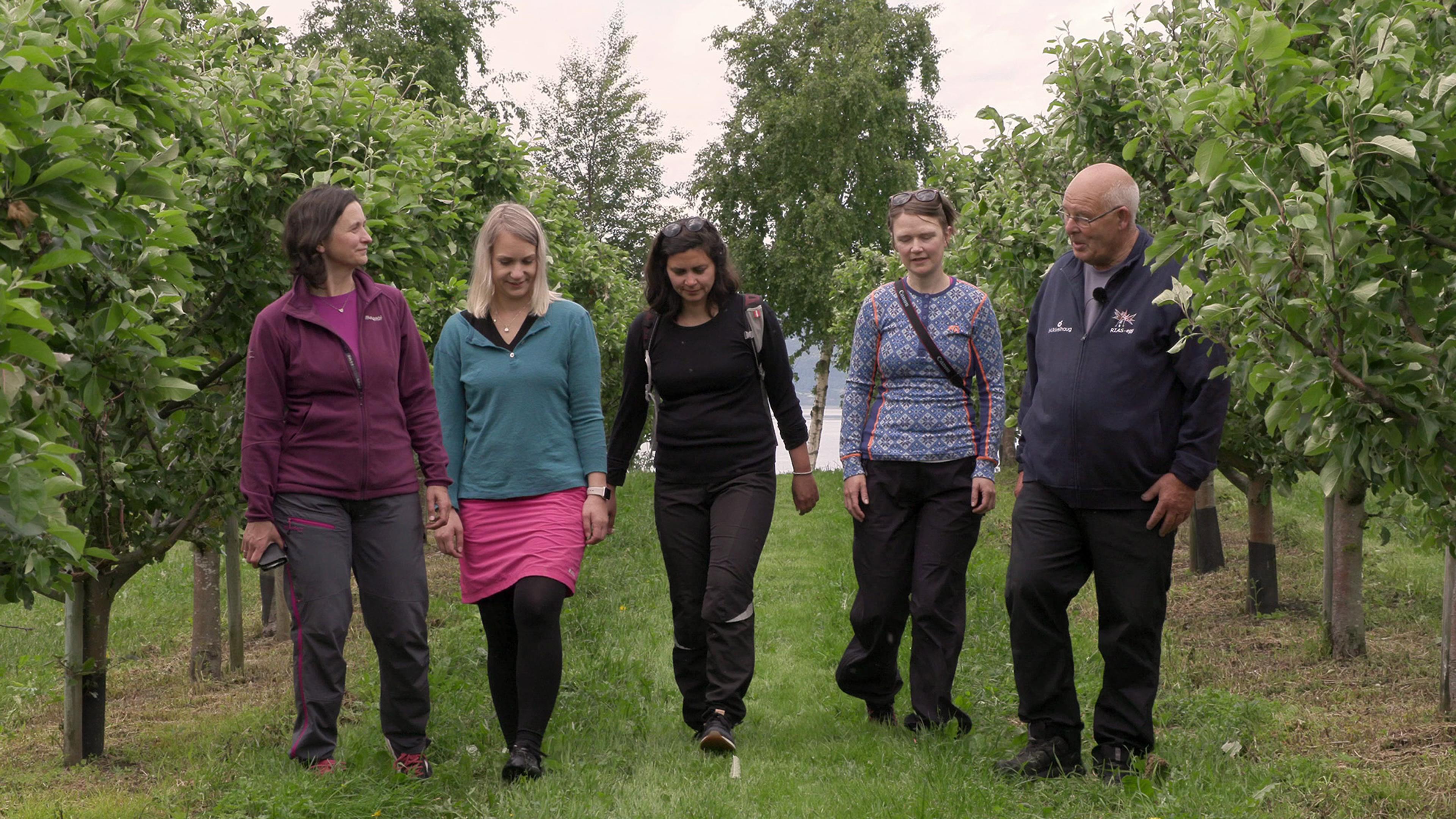 Mikkelhaug - damer på tur