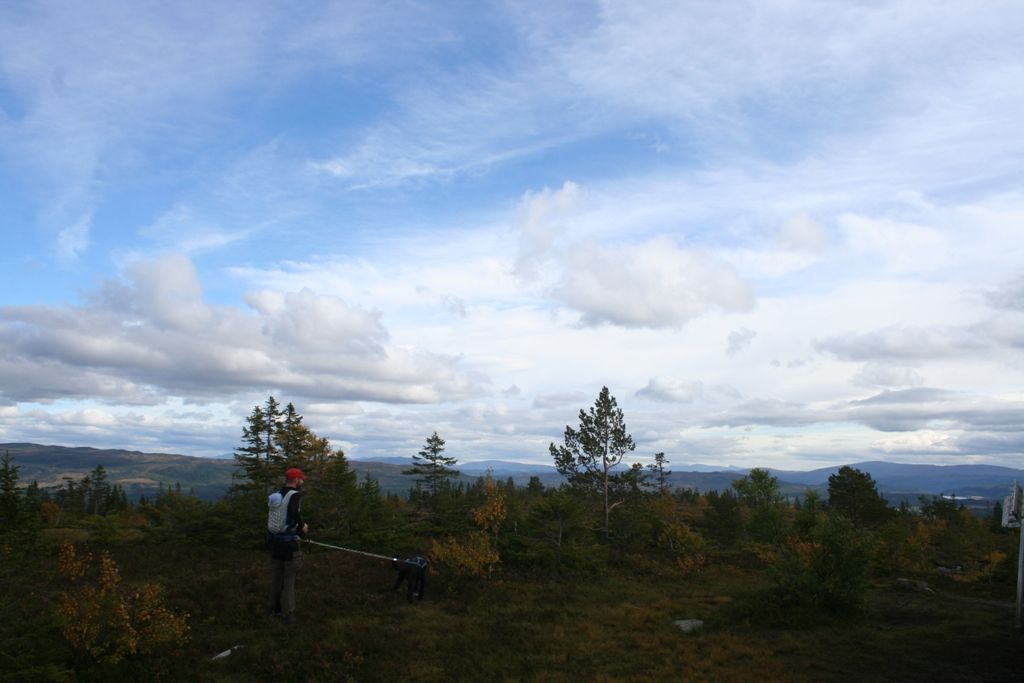 Utsikt fra Marsteinvola