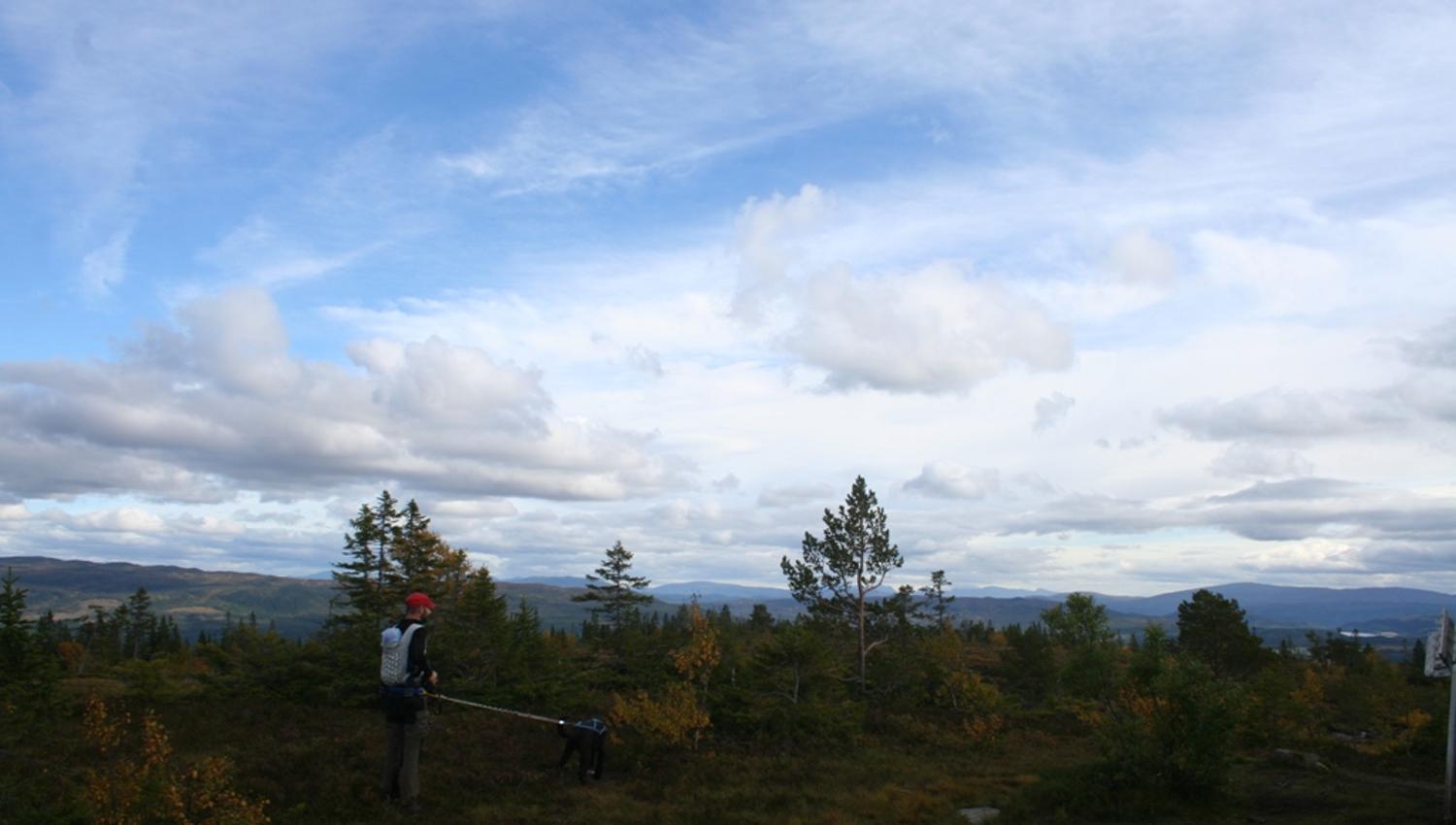 Utsikt fra Marsteinvola