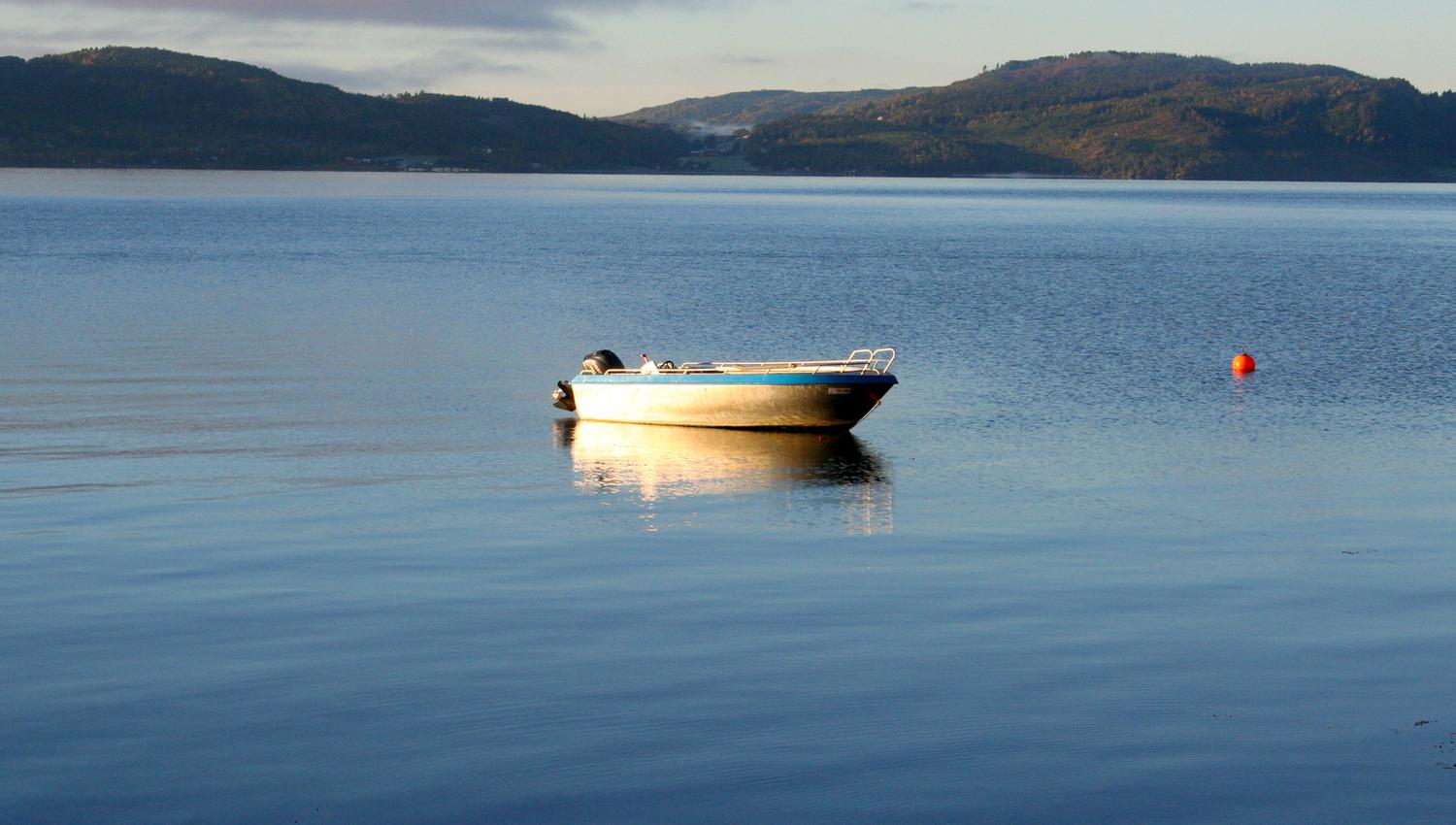 Skarnsundet Hytte: Utsikt utover fjorden