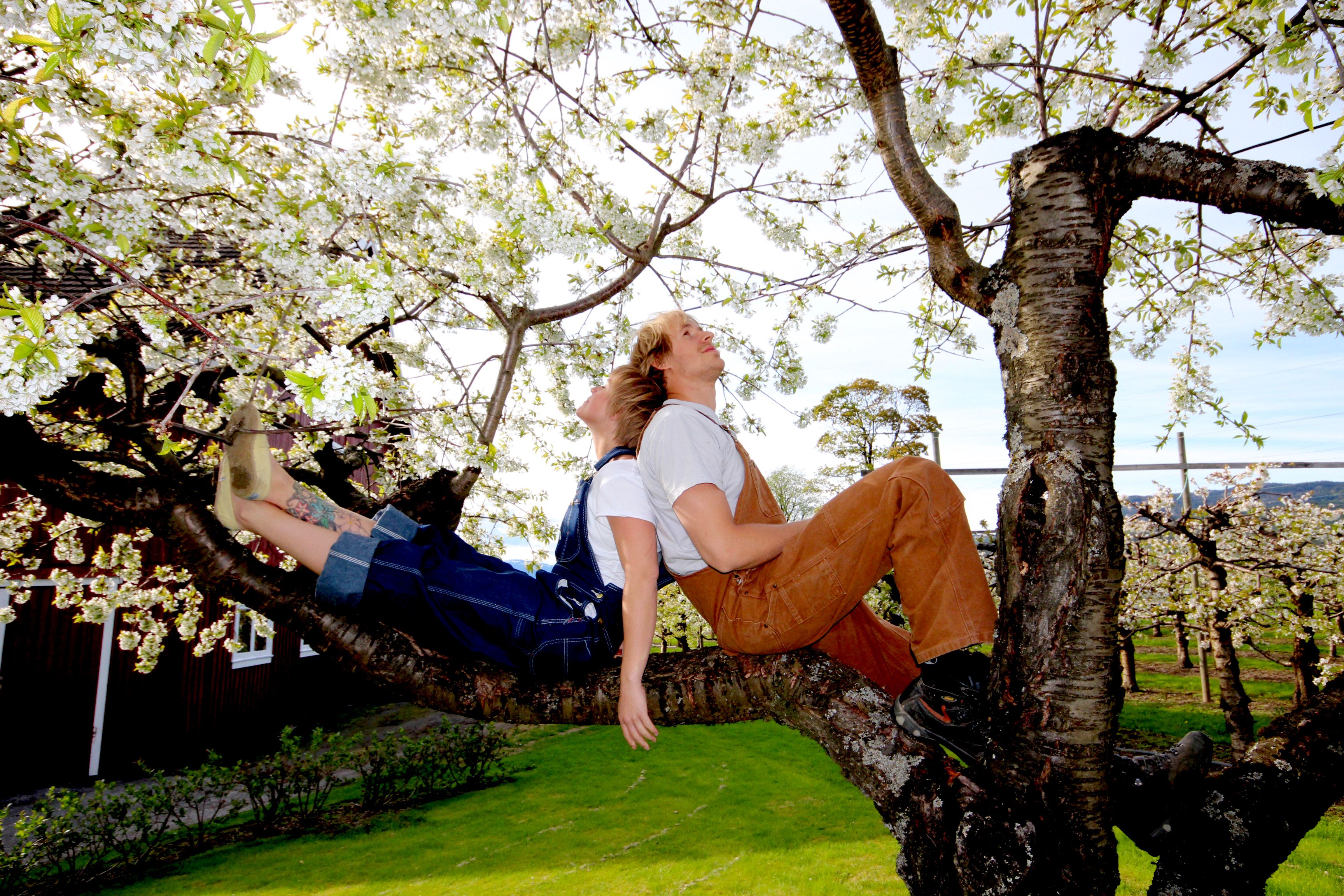 boy and girl sitting in a flowering apple tree 