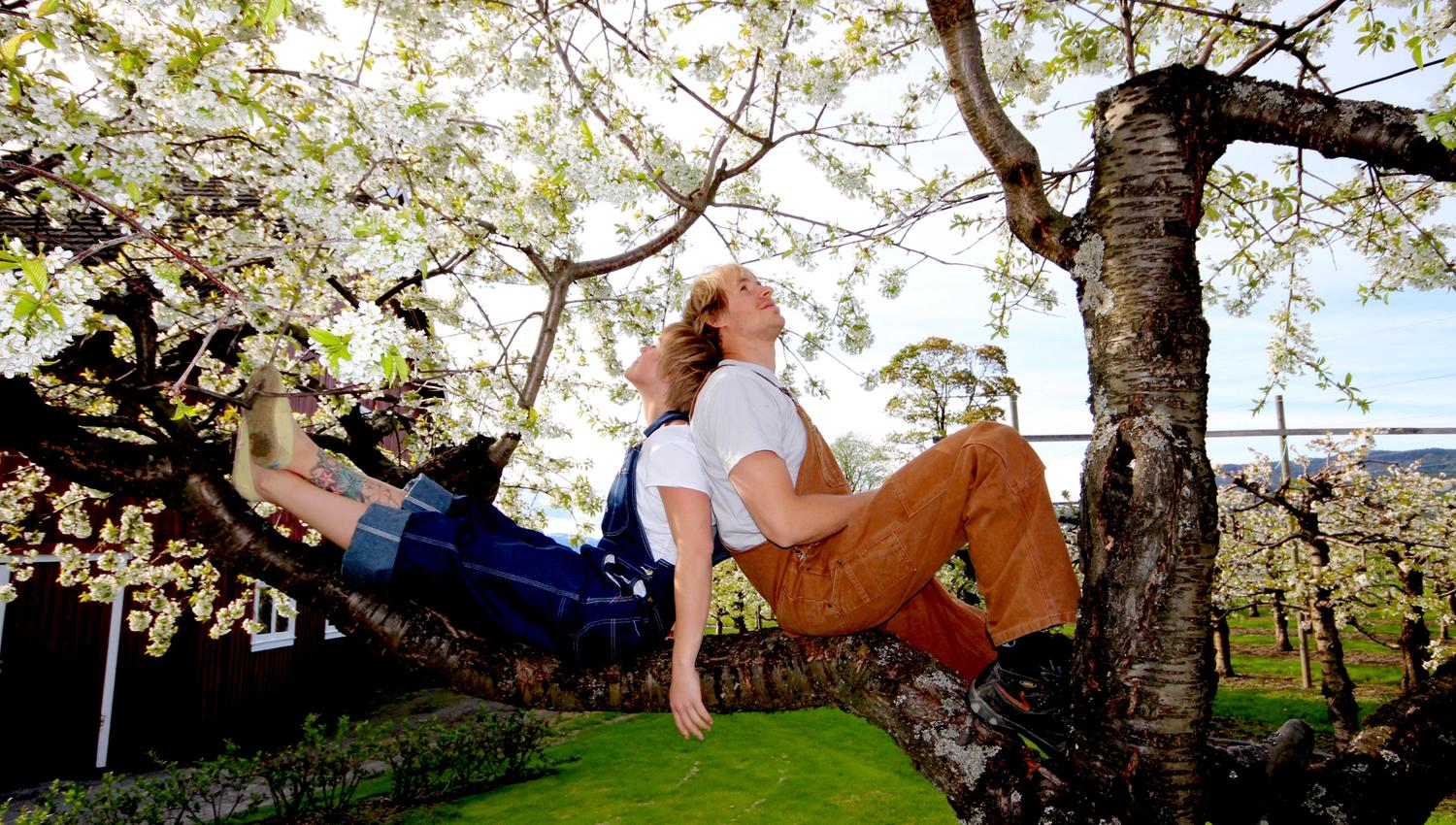 boy and girl sitting in a flowering apple tree