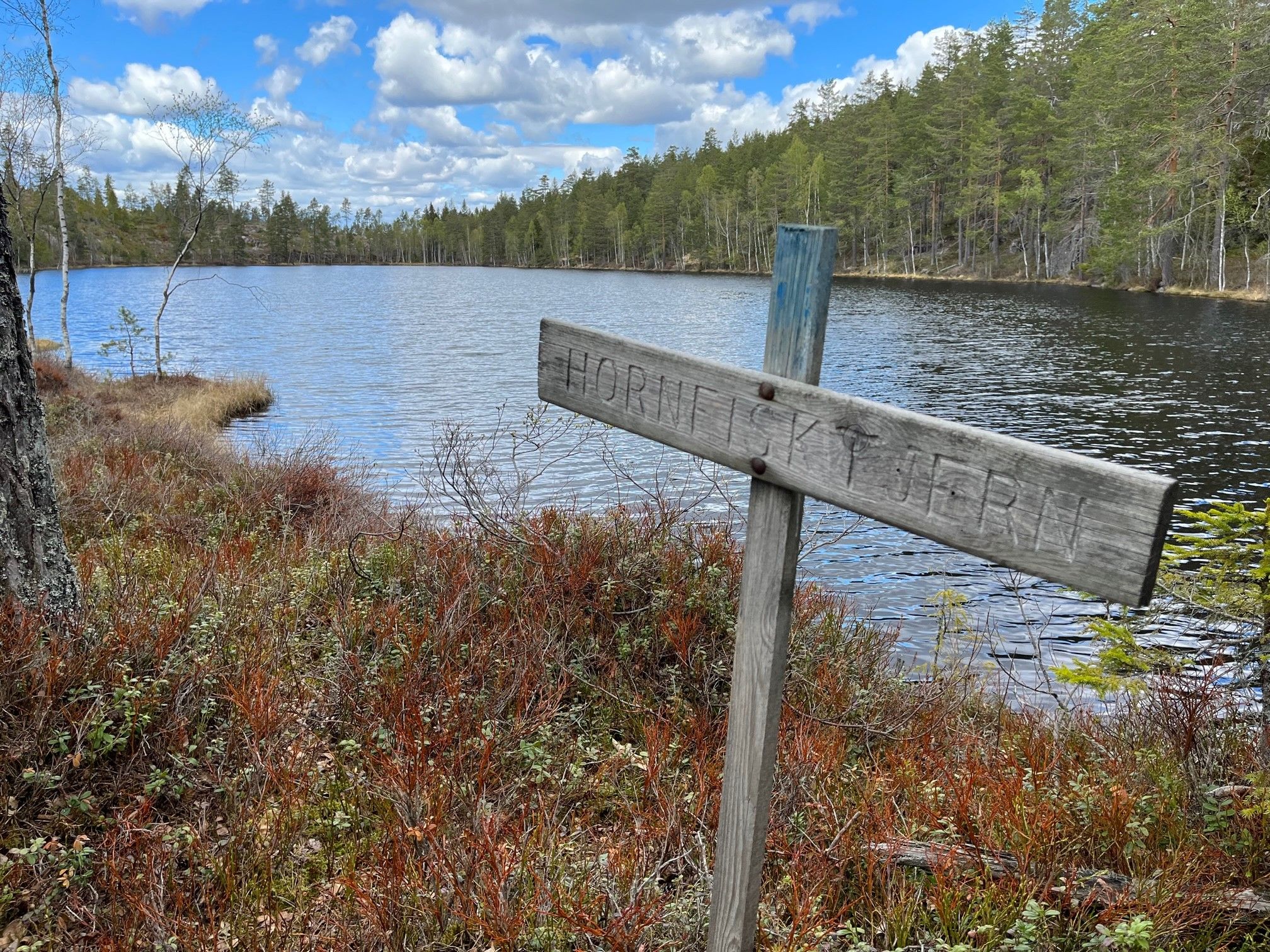skilt i skogen