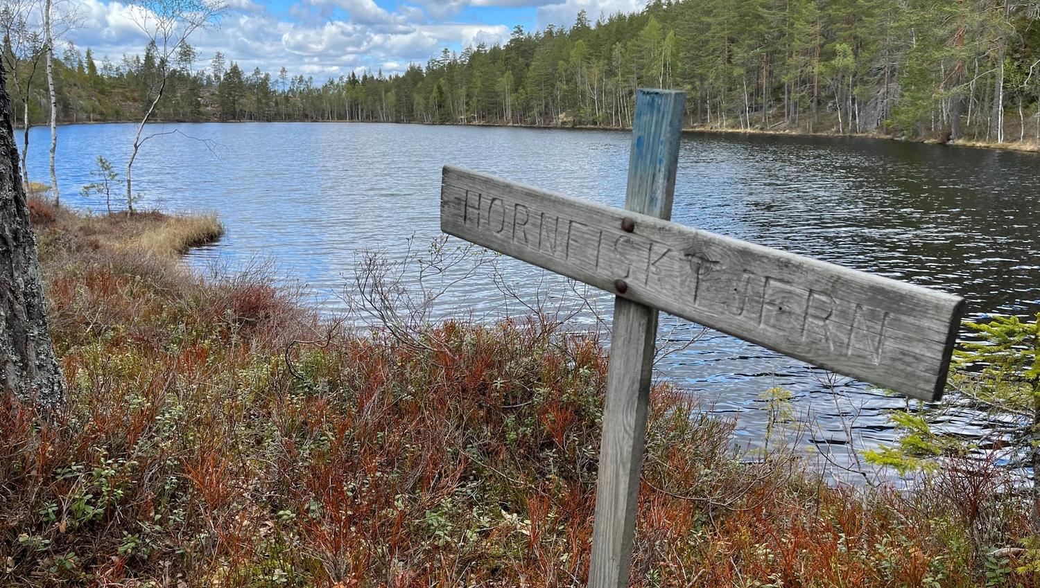 skilt i skogen