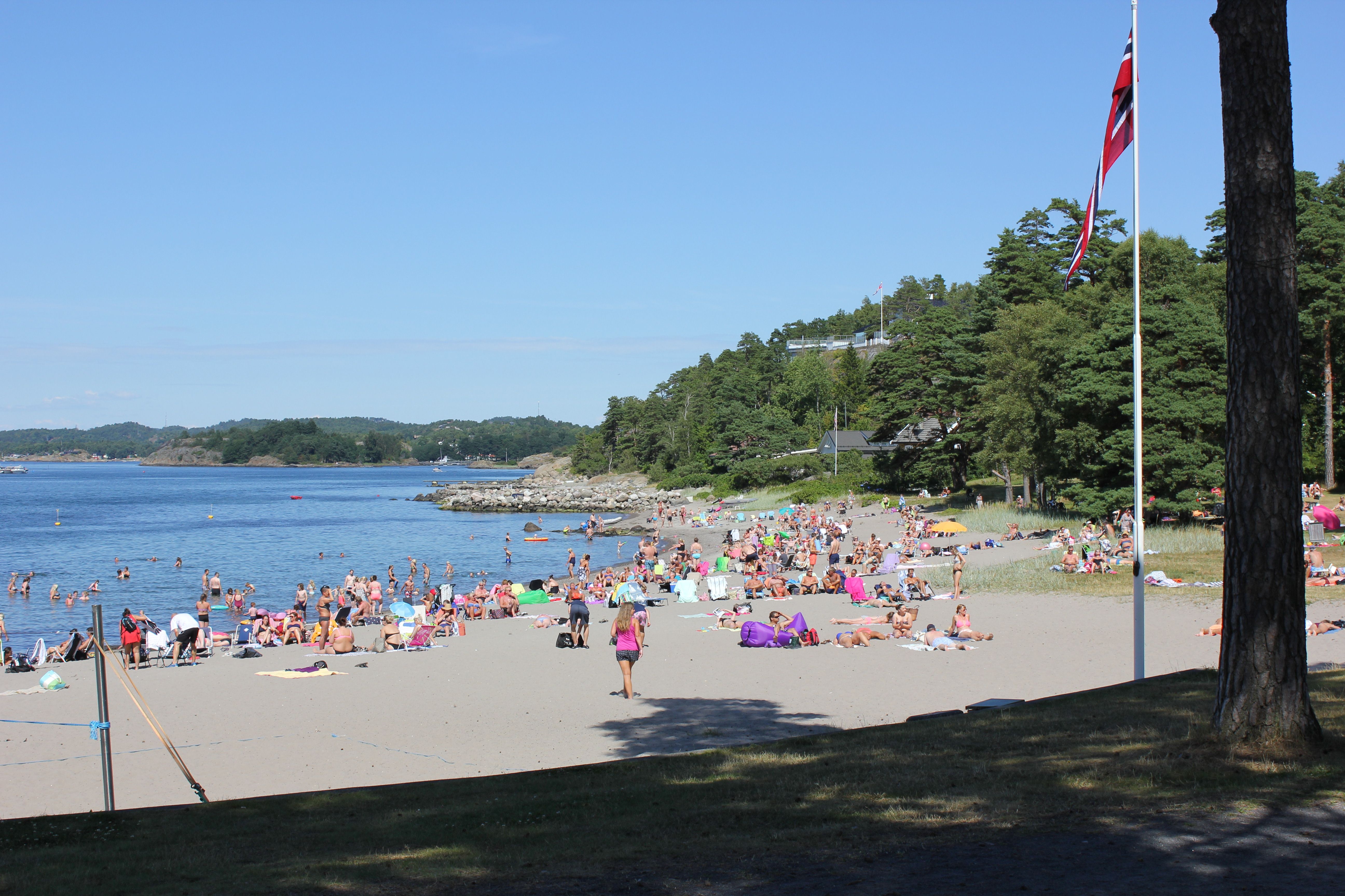 Beach with many people, flag on lawn
