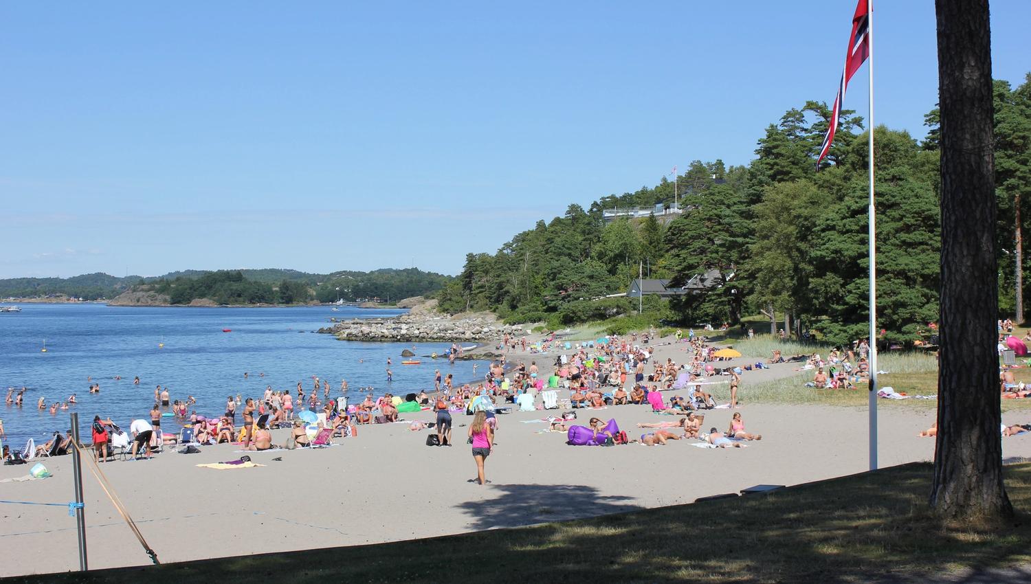 Beach with many people, flag on lawn