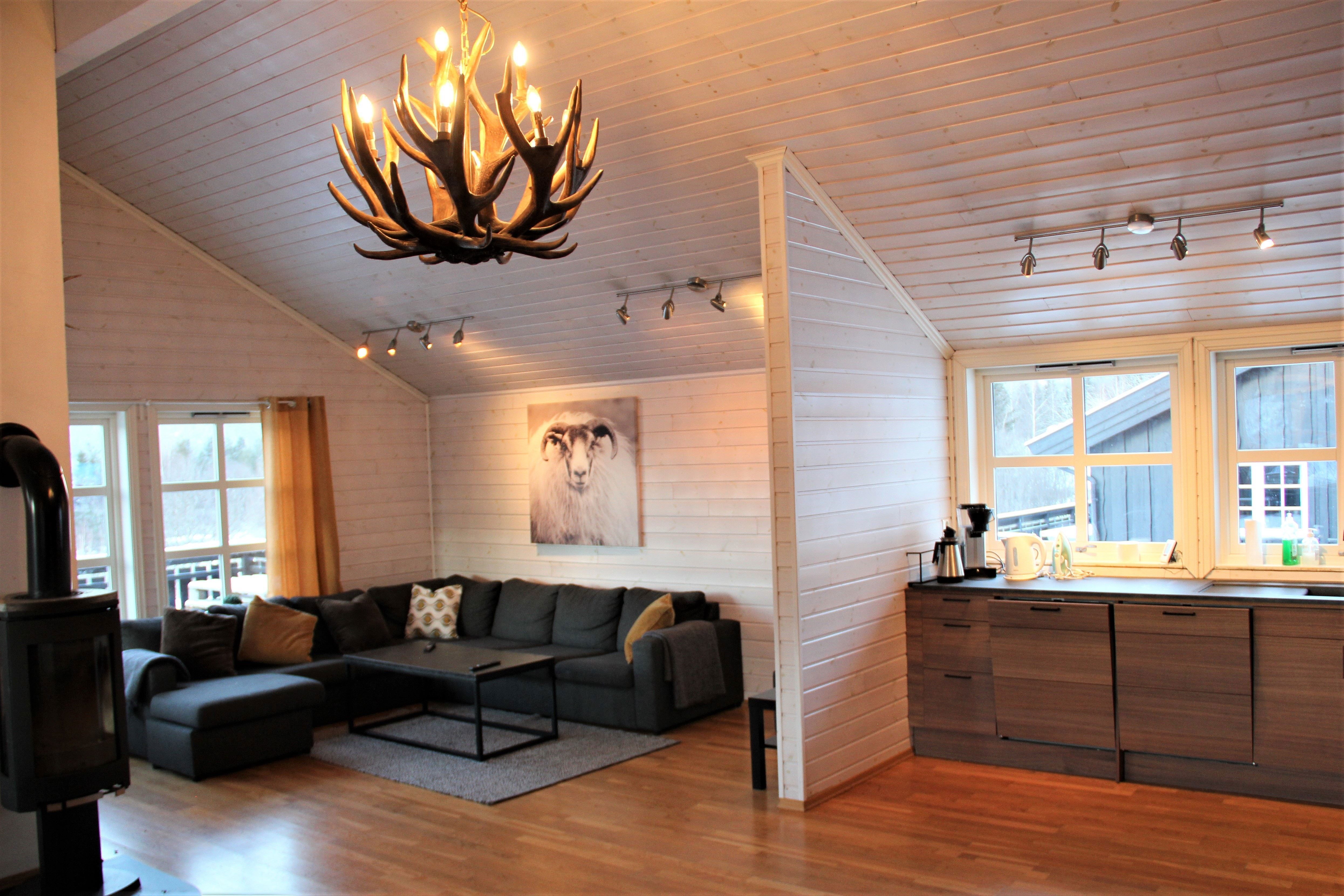 Living room and kitchen