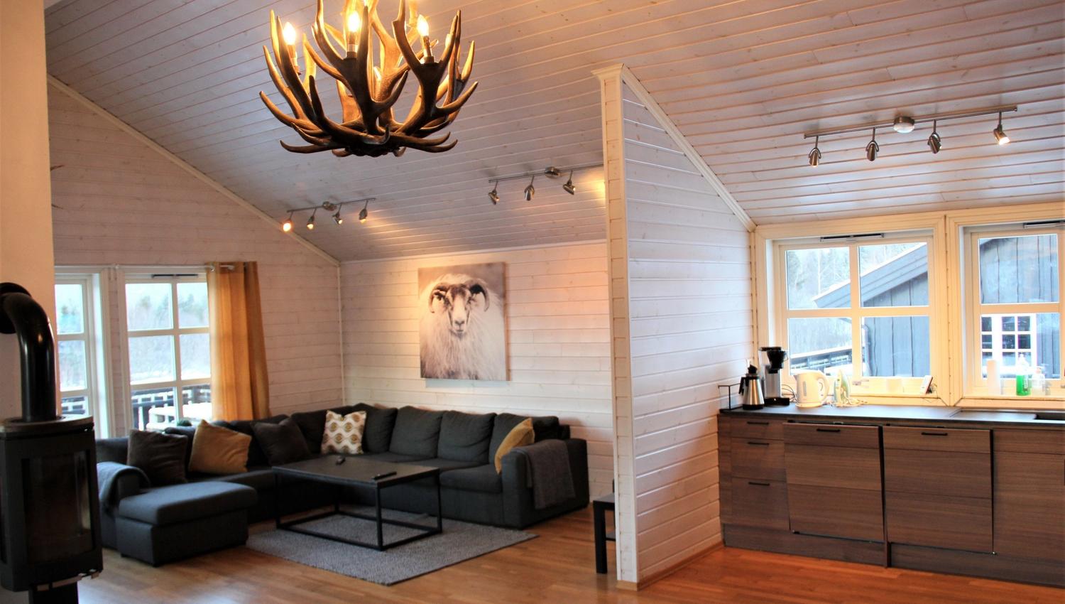 Living room and kitchen