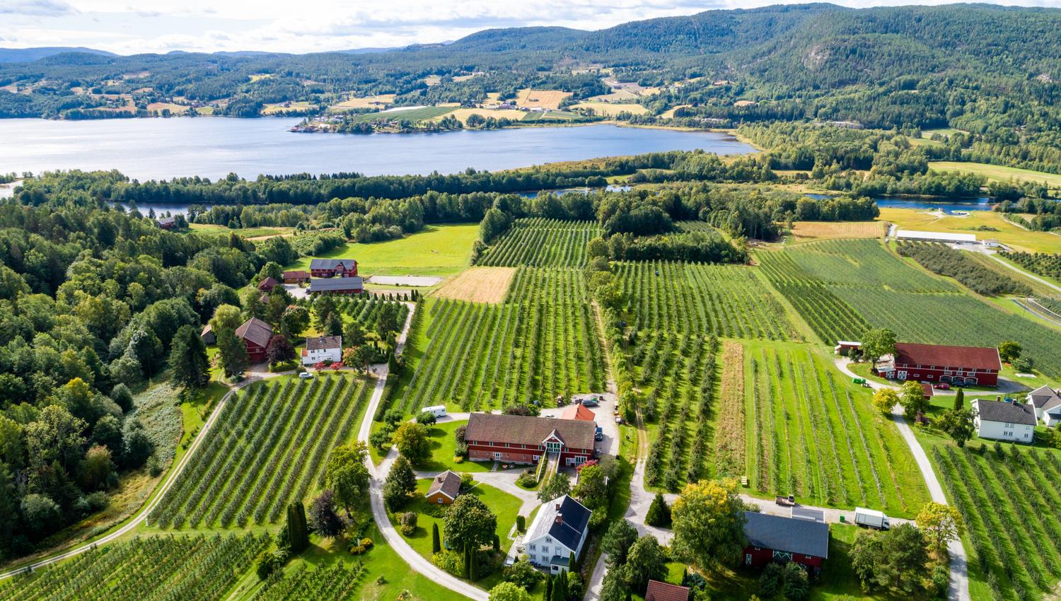 drone images of the fruit village and lake Norsjø