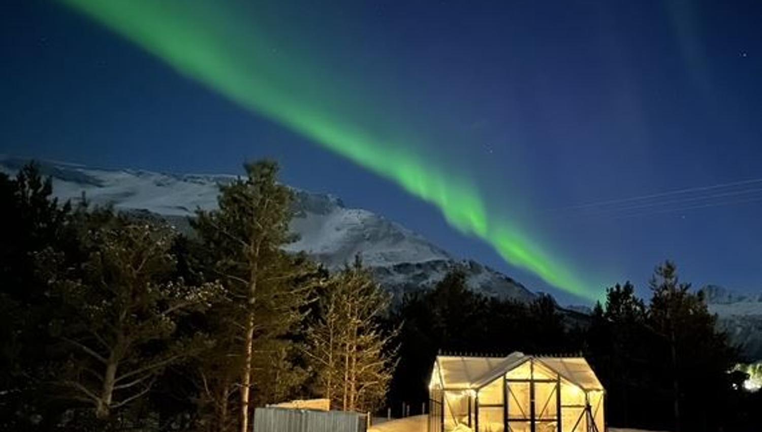 A straight line of Northern Lights shoots over the camp