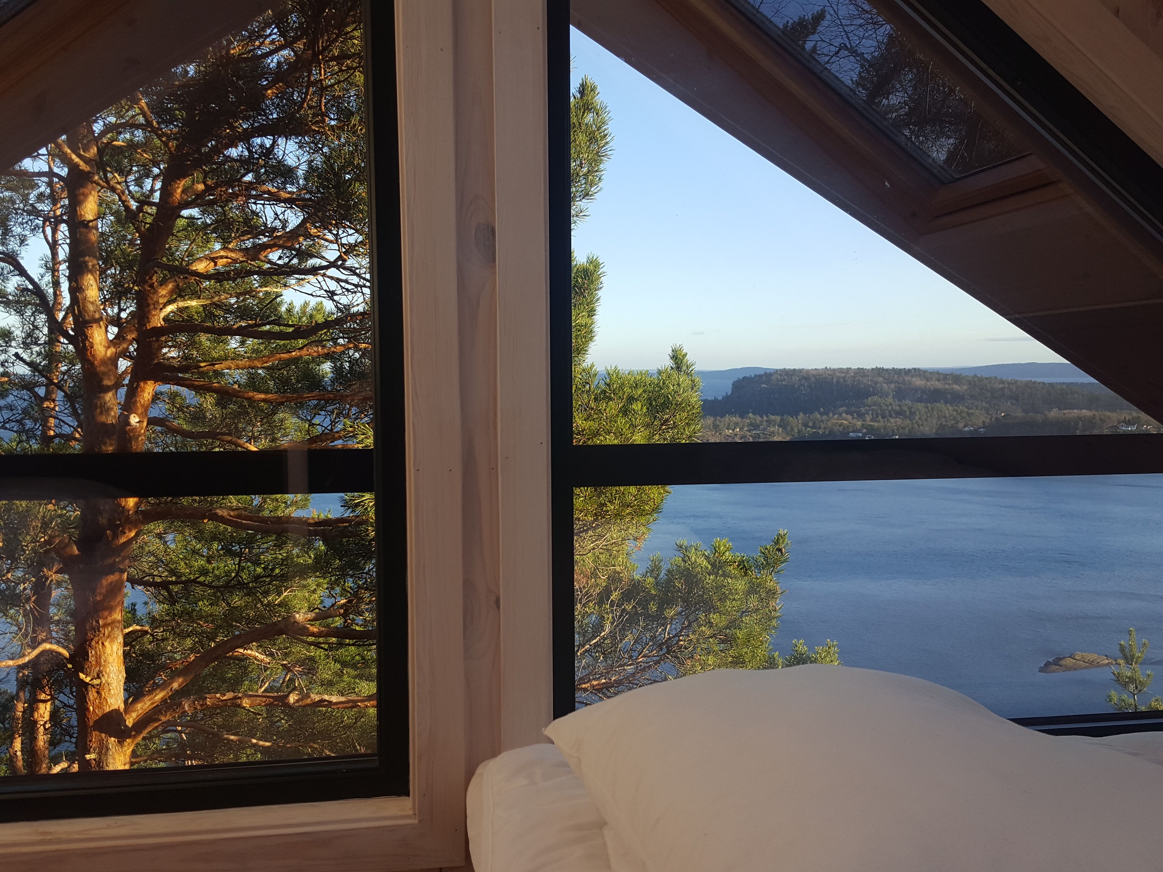 Utsikt ut over naturen og vannet fra vinduet