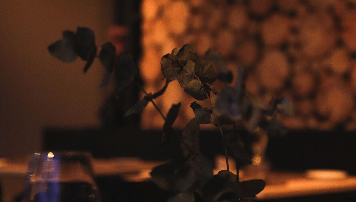 Furu Gastropub