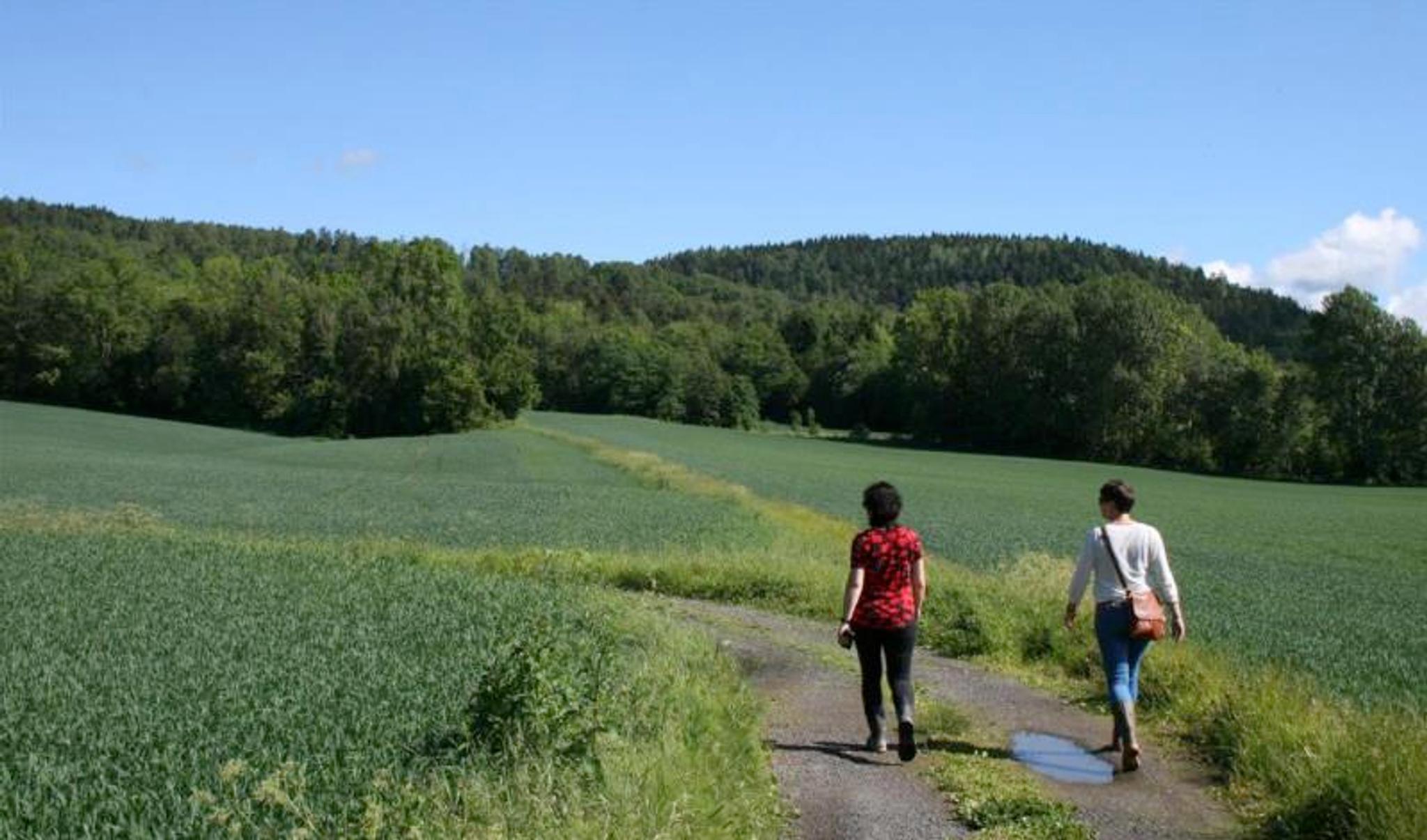 VIken fylkeskommune