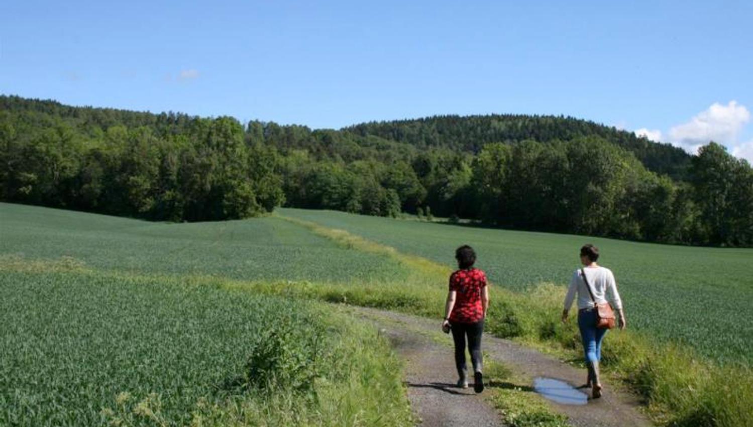 VIken fylkeskommune