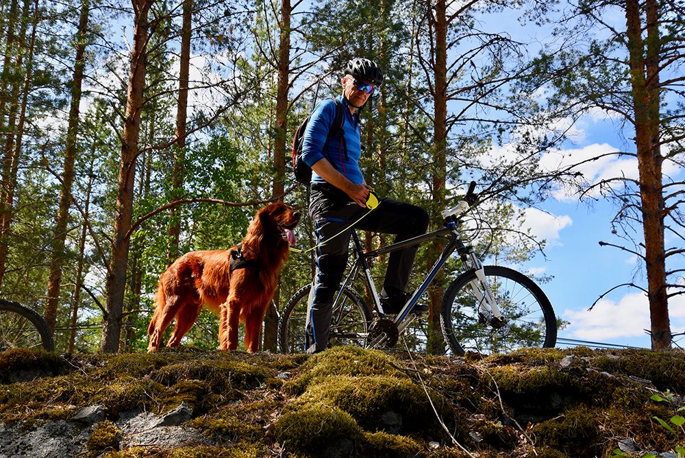 syklist med hund på sykkelveien "gamle Treungenbanen"