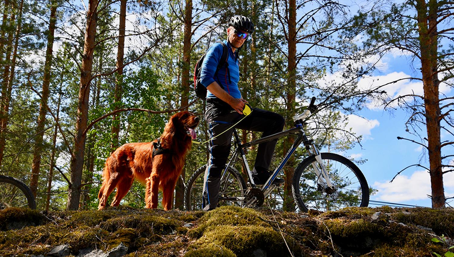 syklist med hund på sykkelveien "gamle Treungenbanen"