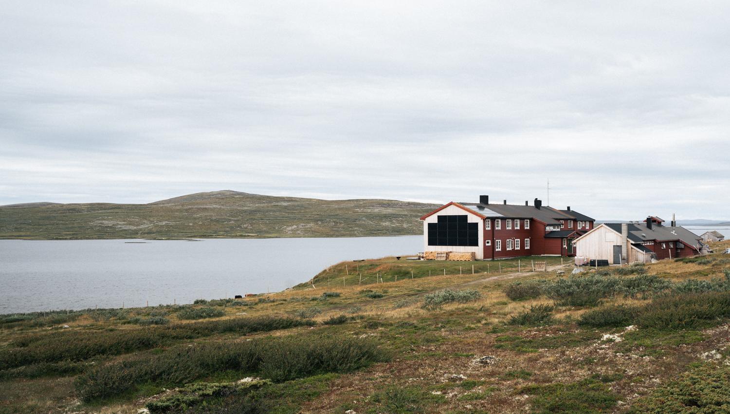 Hardangervidda x Yrjan Olsnes 2021-08721