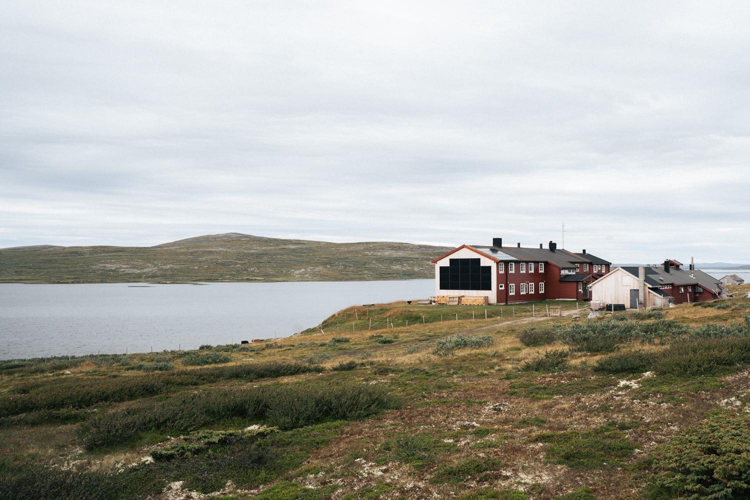 Hardangervidda x Yrjan Olsnes 2021-08721