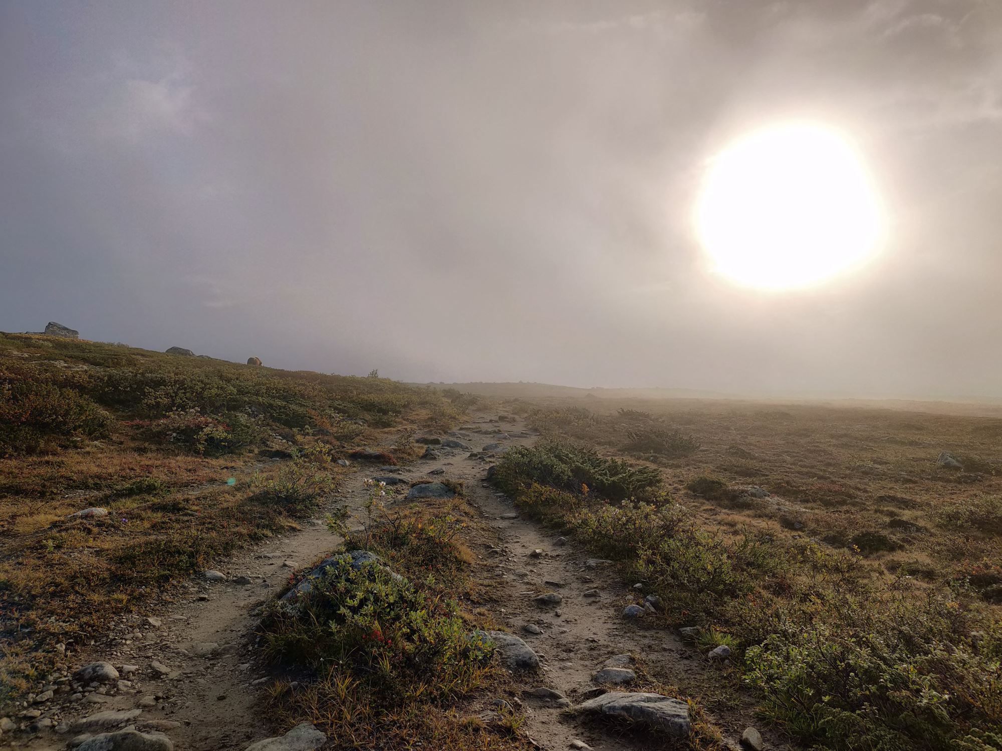 Moskussafari m/personlig guide, 2 dager