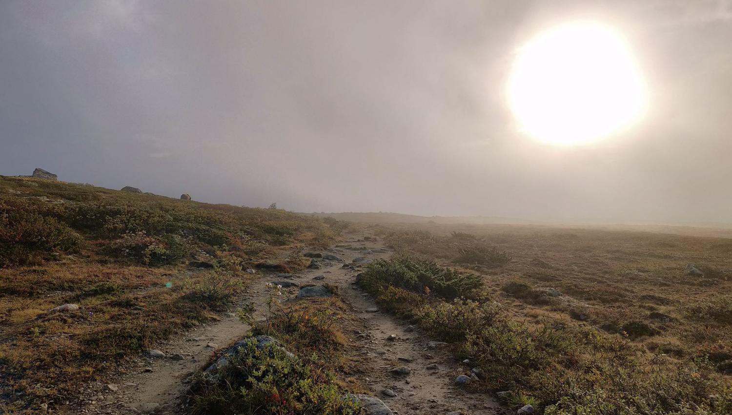 Moskussafari m/personlig guide, 2 dager