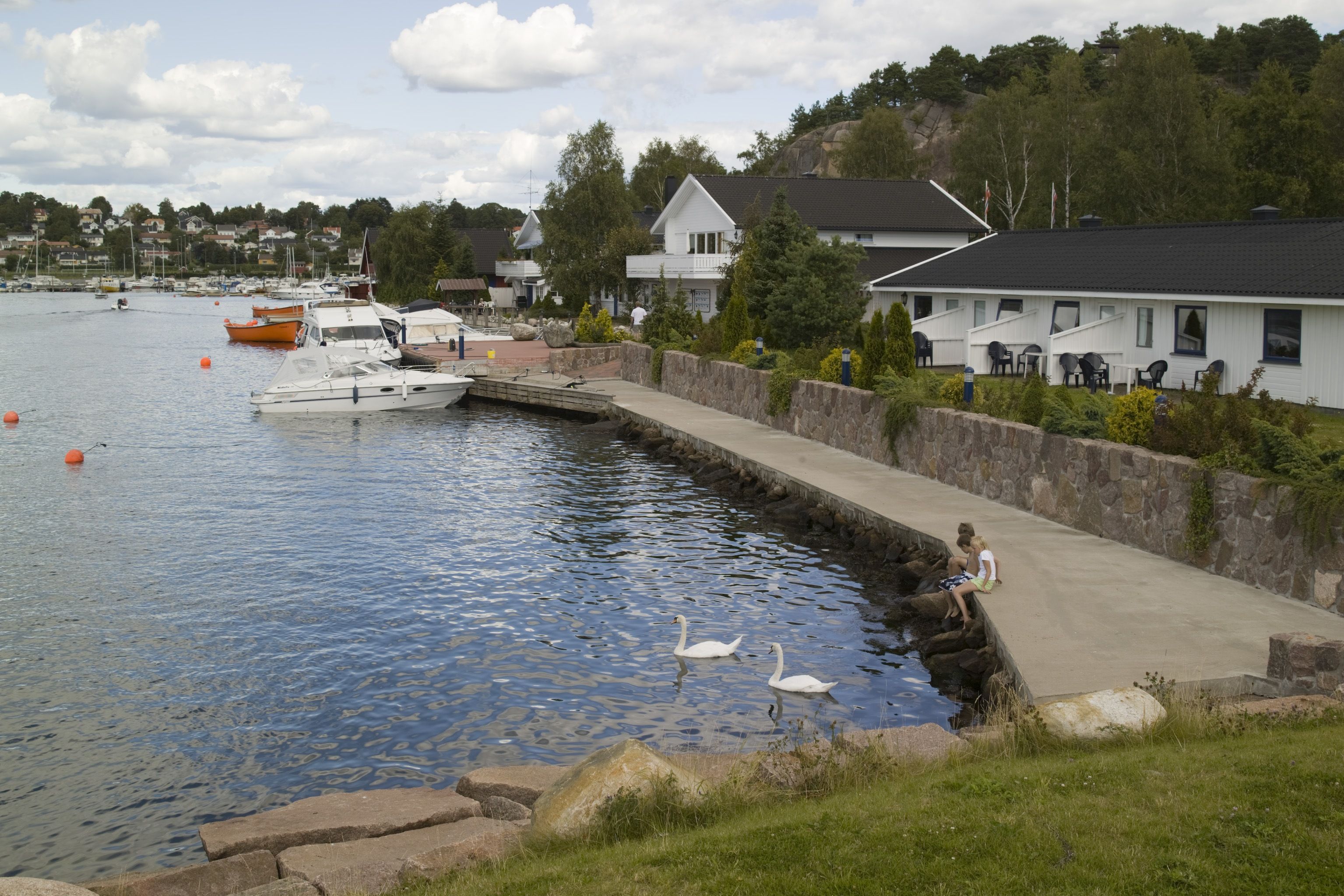 Barn som sitter på brygga, svaner som svømmer forbi på vannet