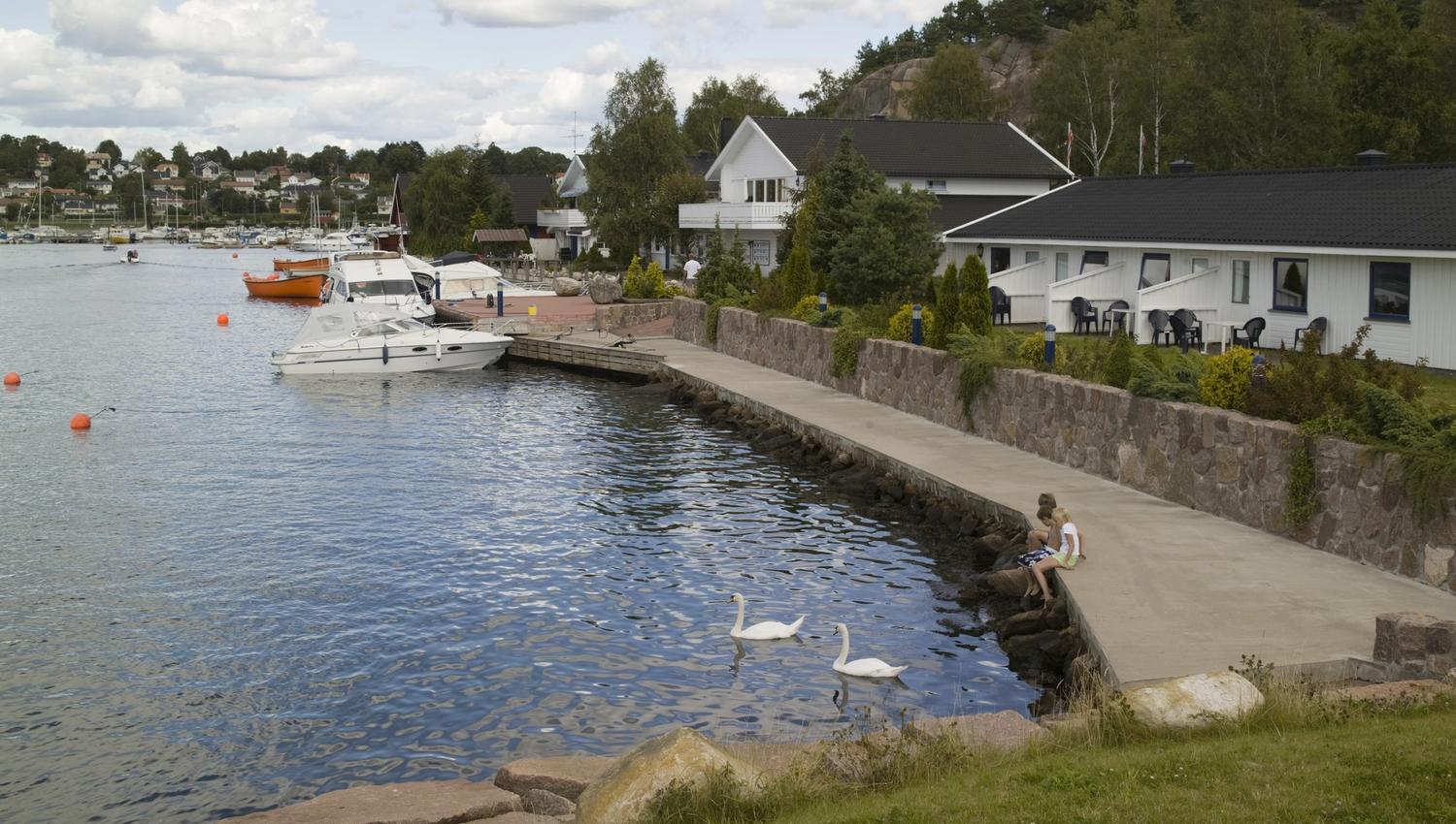 Barn som sitter på brygga, svaner som svømmer forbi på vannet