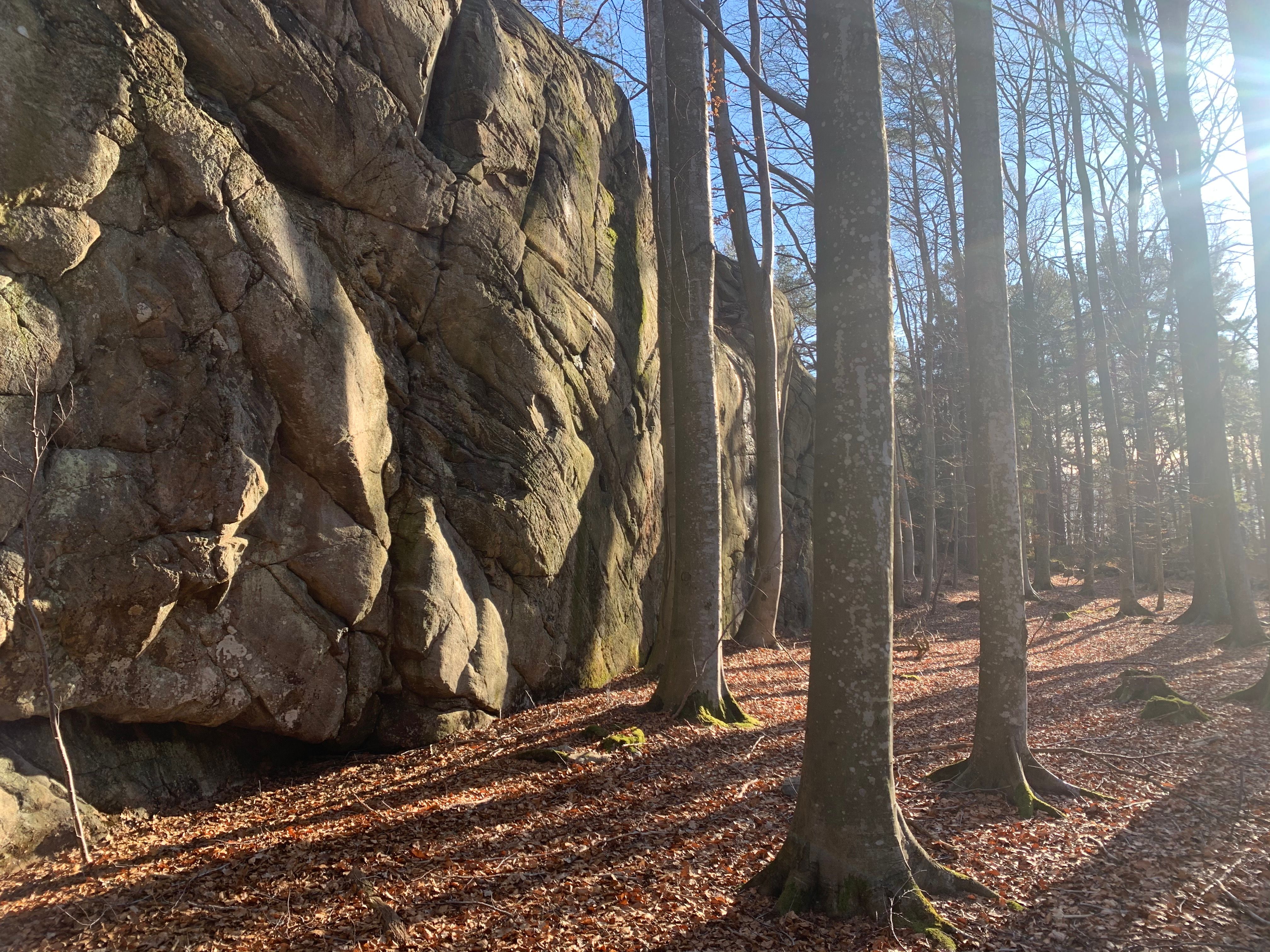 Skauerøya Lillesand skog tidlig vår buldrevegger