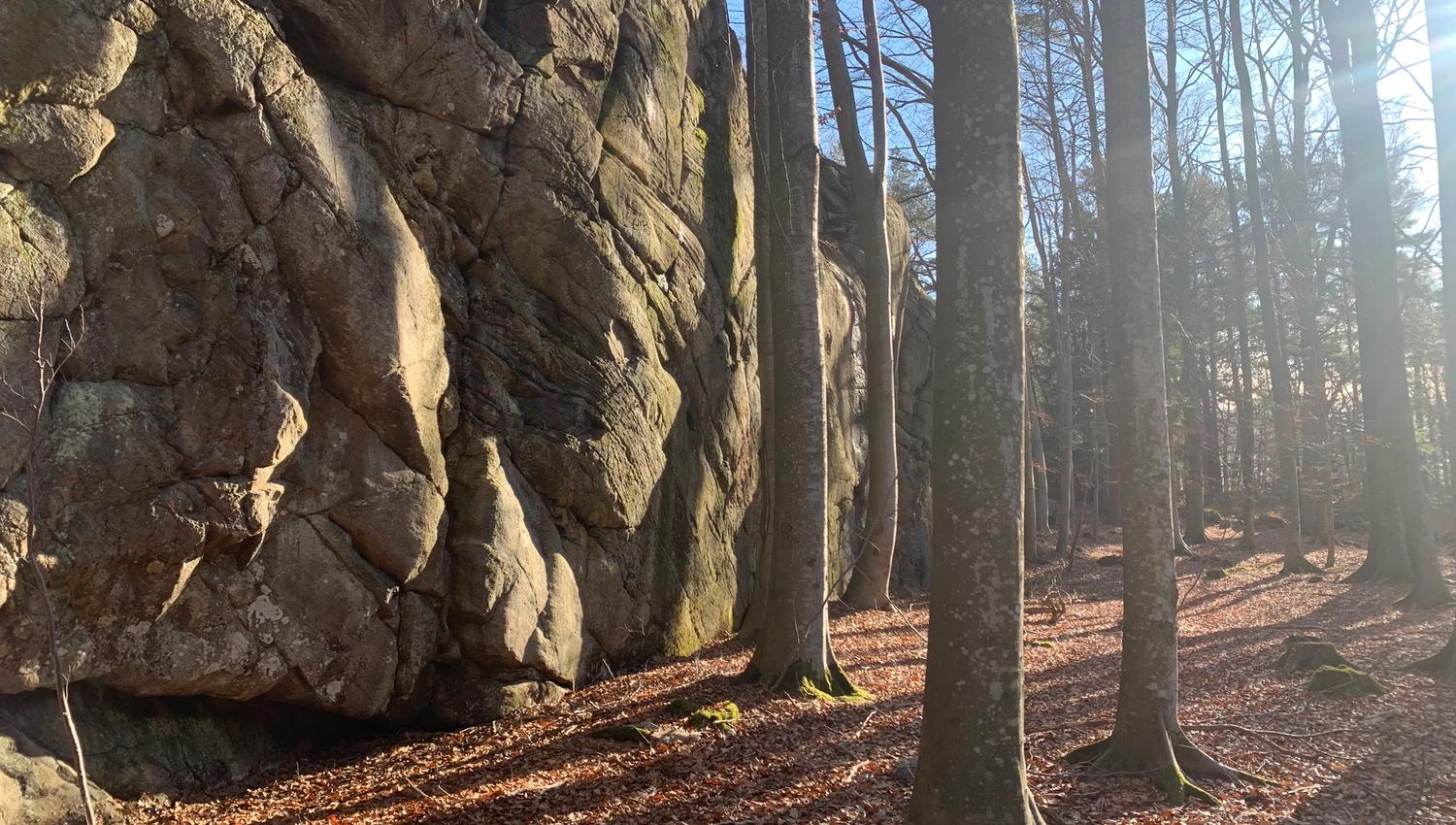 Skauerøya Lillesand skog tidlig vår buldrevegger