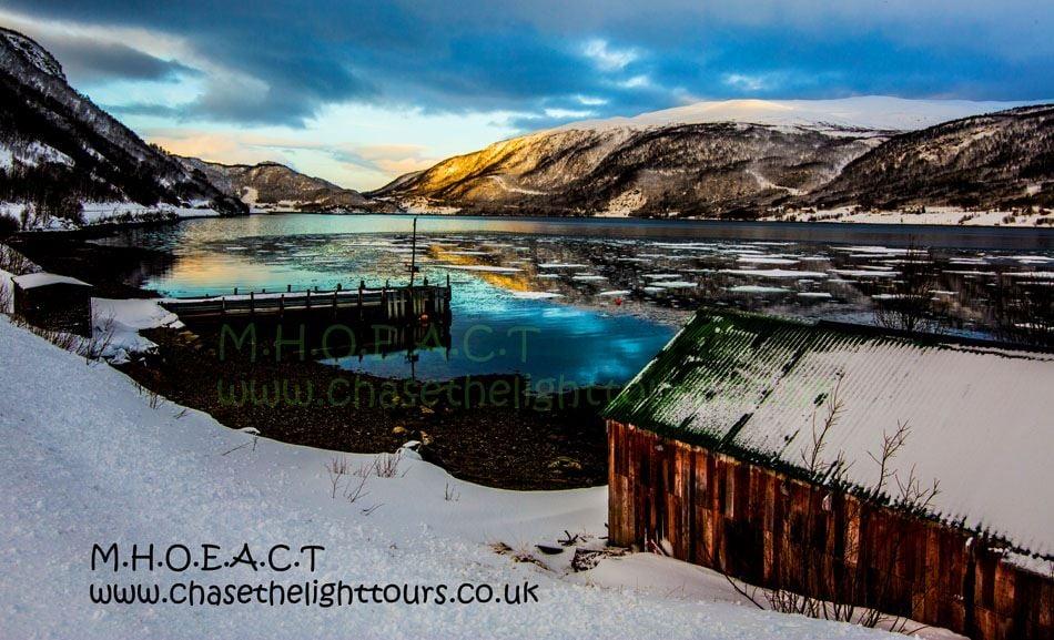 Scenic and photographic wildlife & fjord excursions