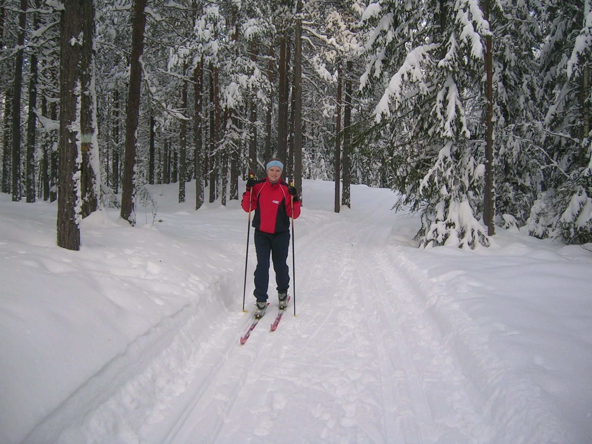 Langrenn Elverum