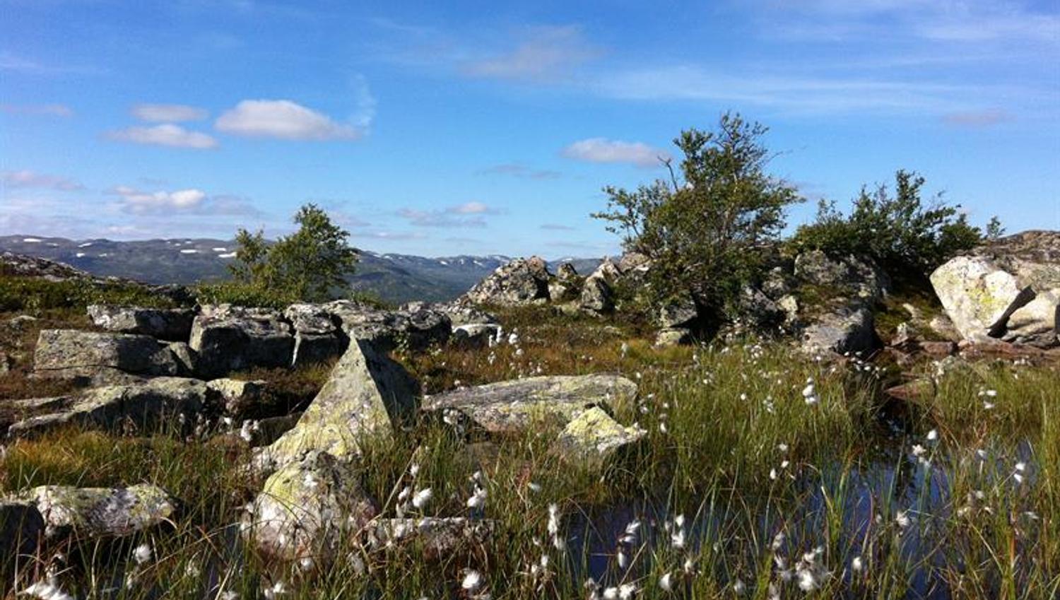 Platået på Hartevassnuten
