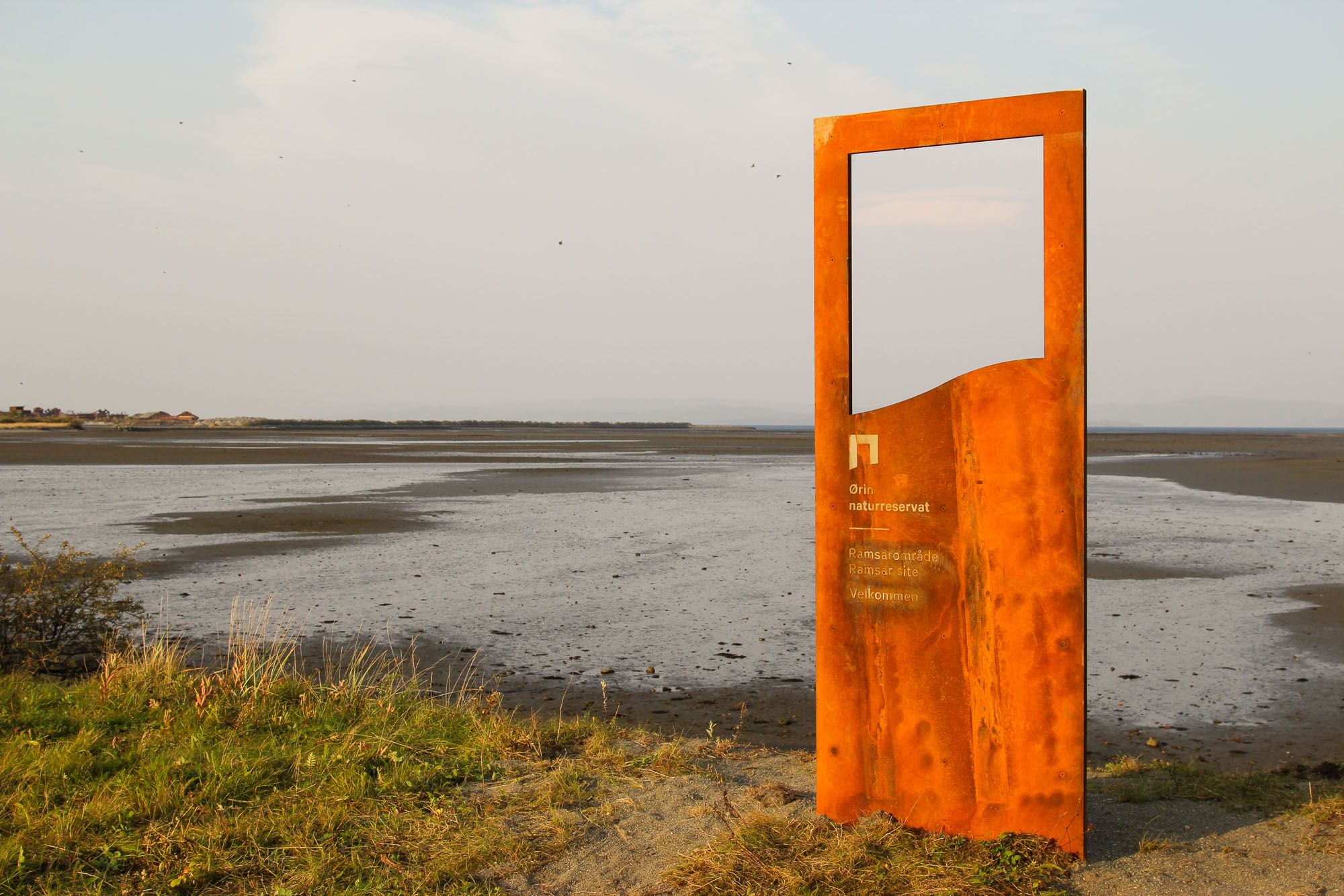 Ørin naturreservat ved utløpet av Verdalselva