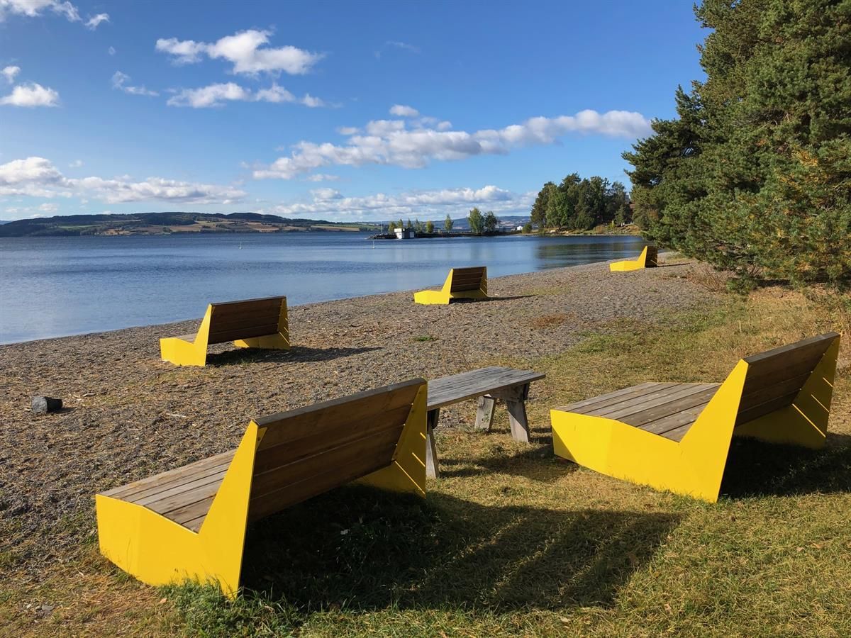 Flere gule benker står på en strand ved vannet, omgitt av trær og blå himmel.