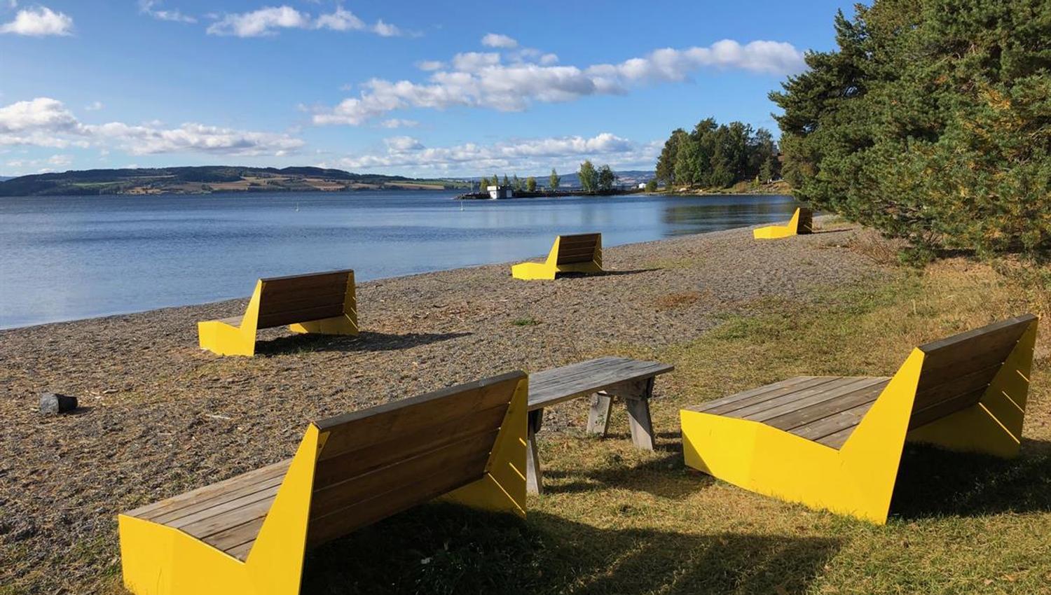 Flere gule benker står på en strand ved vannet, omgitt av trær og blå himmel.