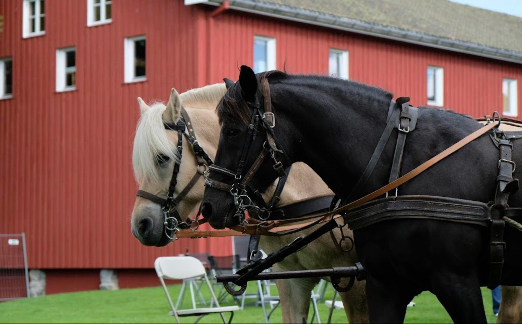 Fossesholm Herregård