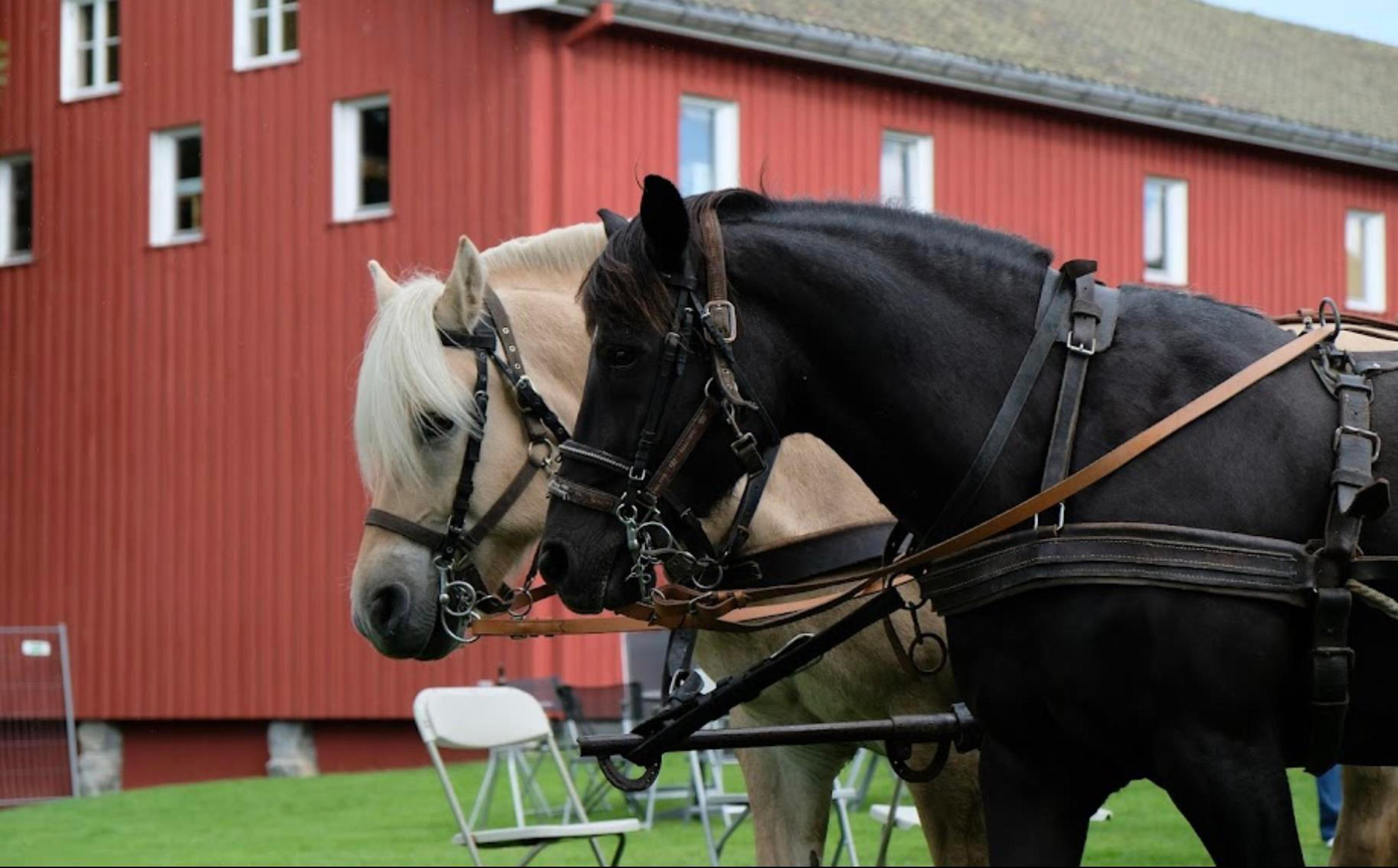 Fossesholm Herregård
