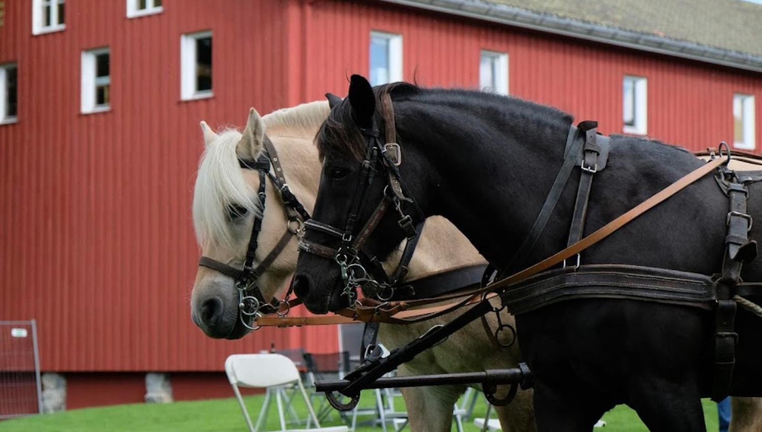 Fossesholm Herregård