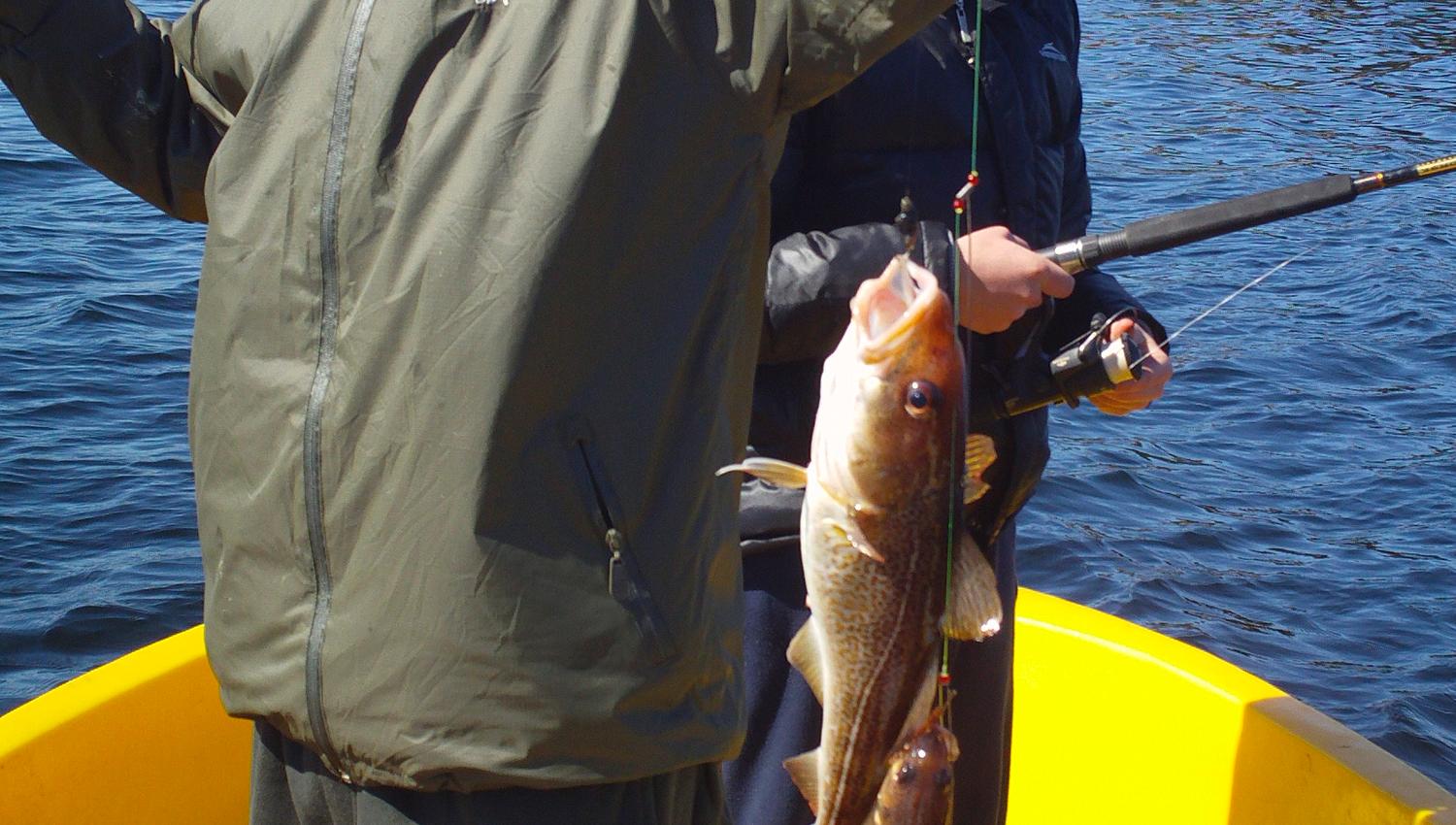 Fishing at Sørlandet Feriesenter