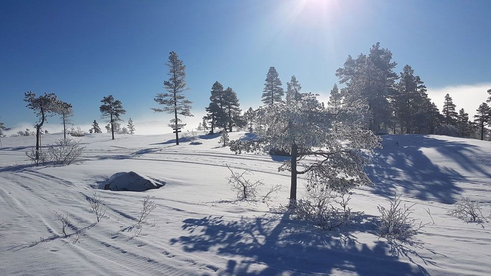 vinterlandskap_web