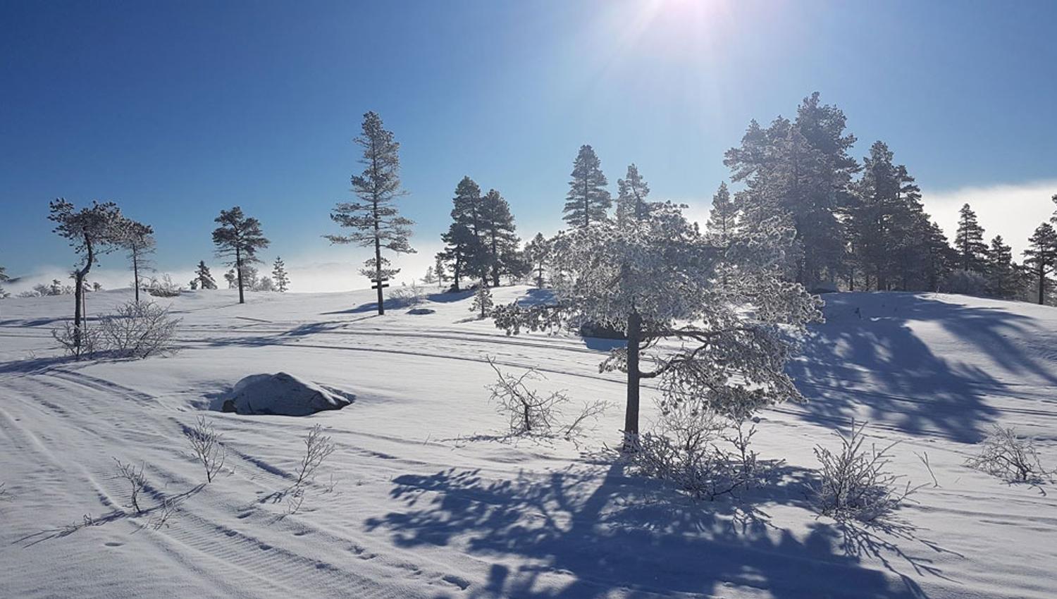 vinterlandskap_web
