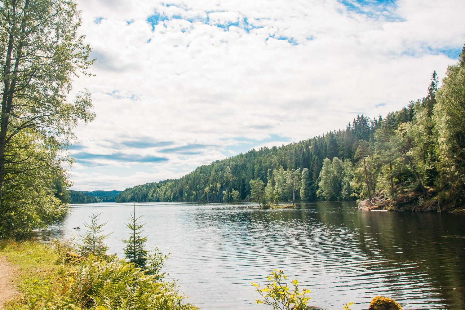 innsjø med skog og sti rundt