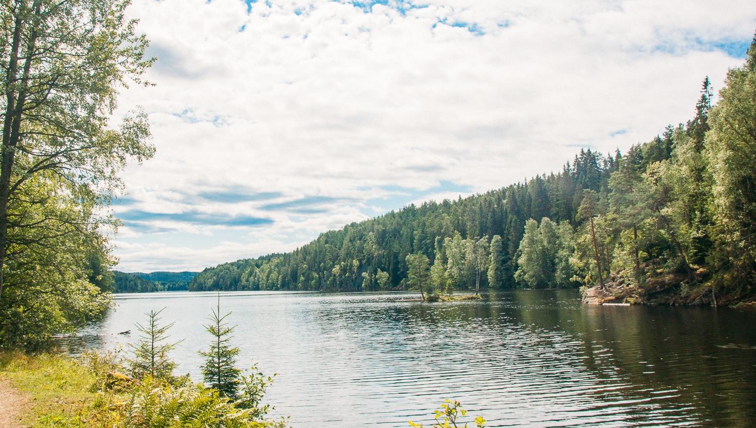 innsjø med skog og sti rundt