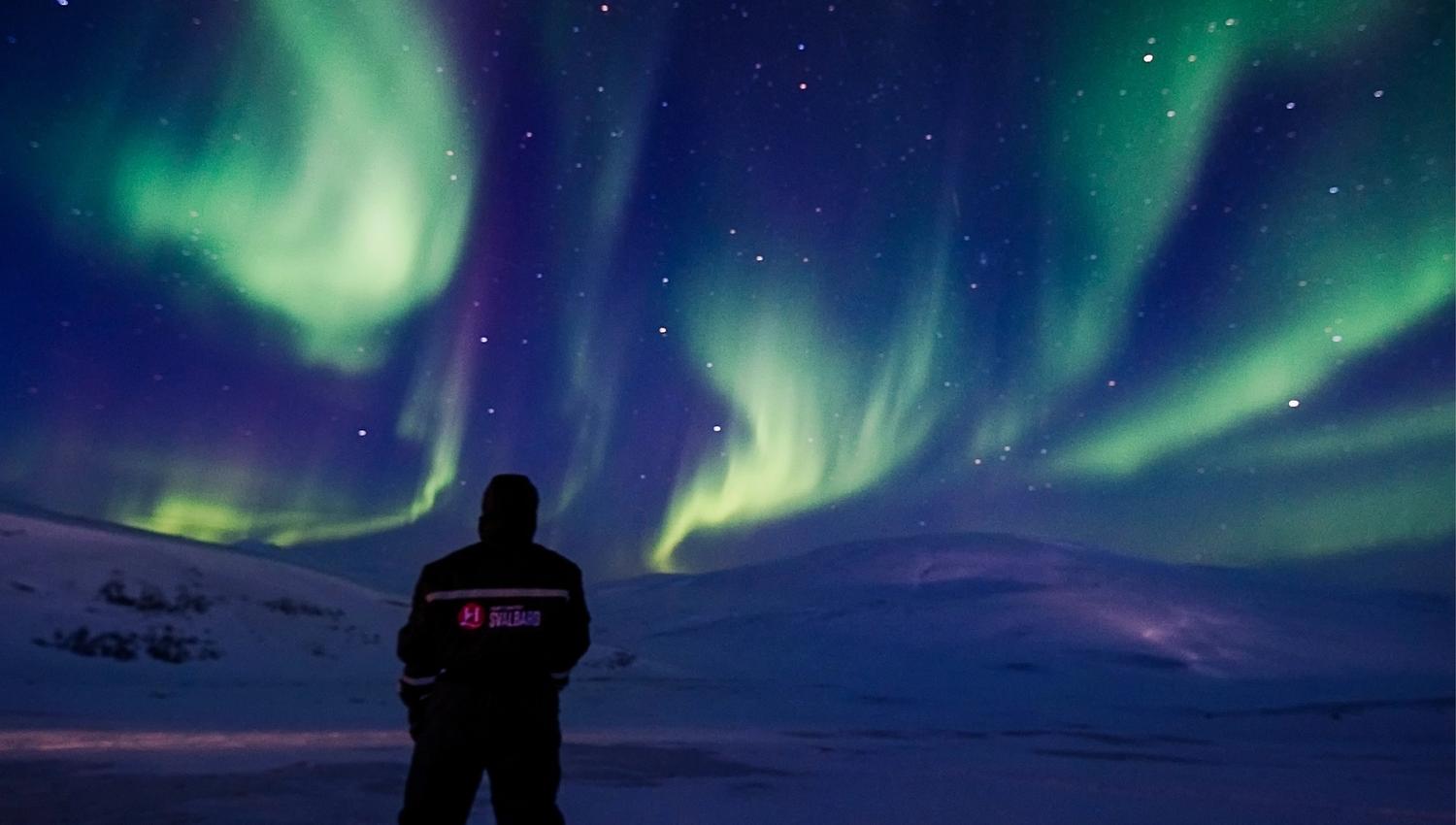 Person som ser opp på det grønne nordlyset
